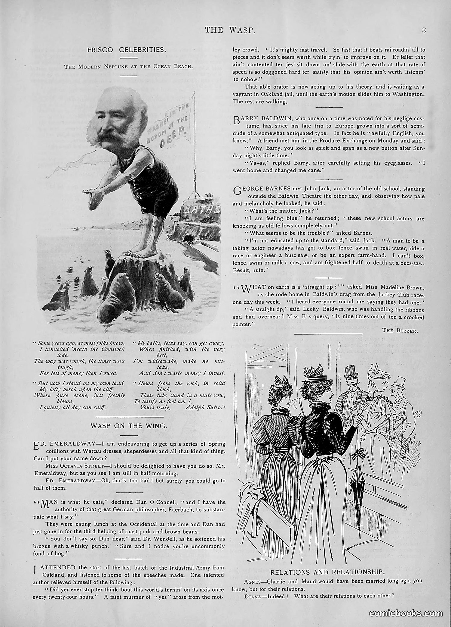 The Wasp — 1894 — page 340 of 552