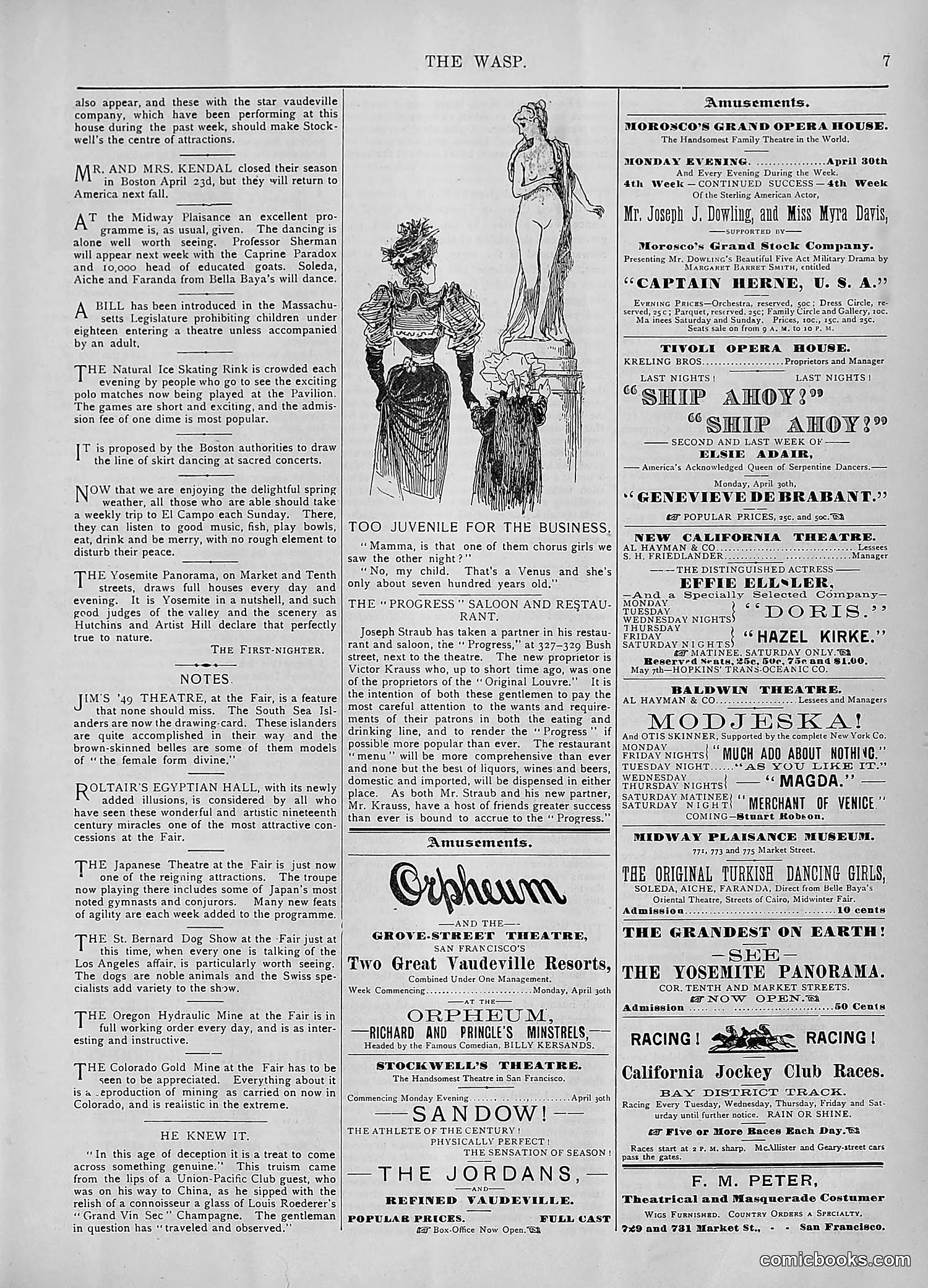 The Wasp — 1894 — page 344 of 552