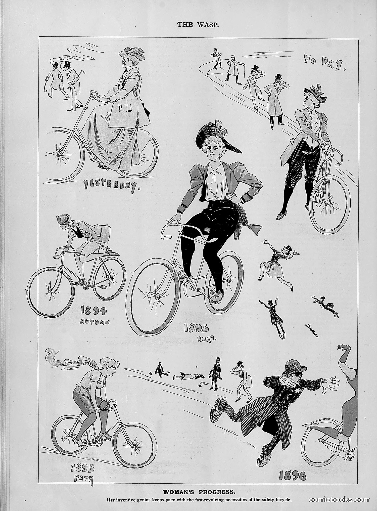 The Wasp — 1894 — page 347 of 552