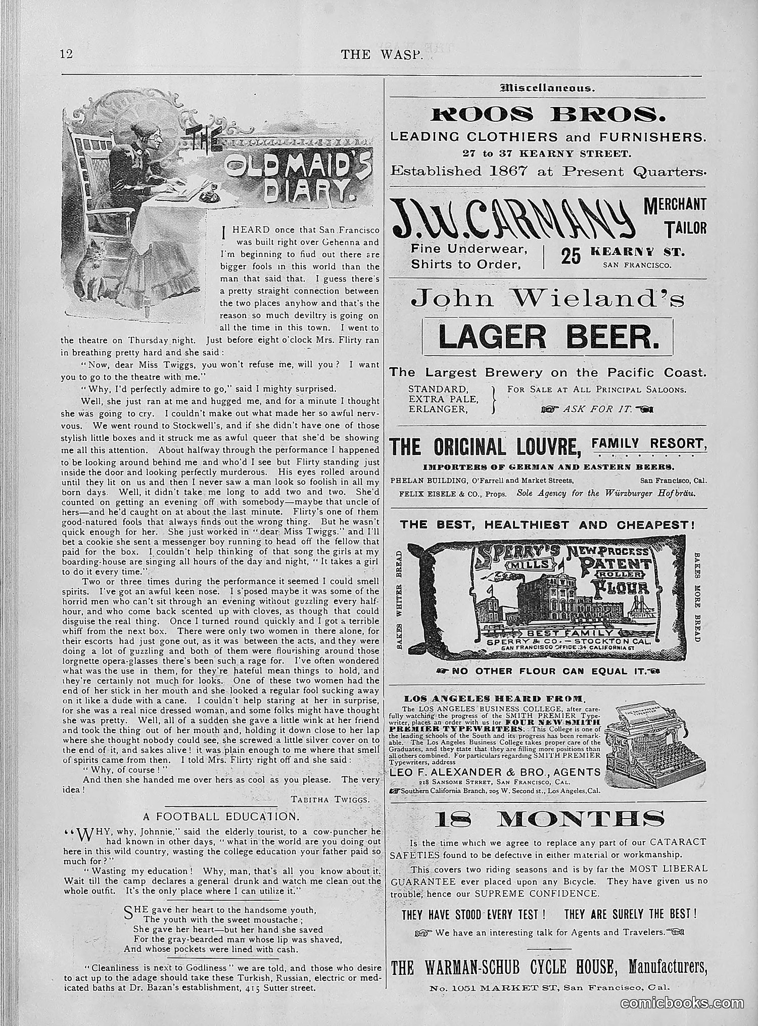 The Wasp — 1894 — page 349 of 552