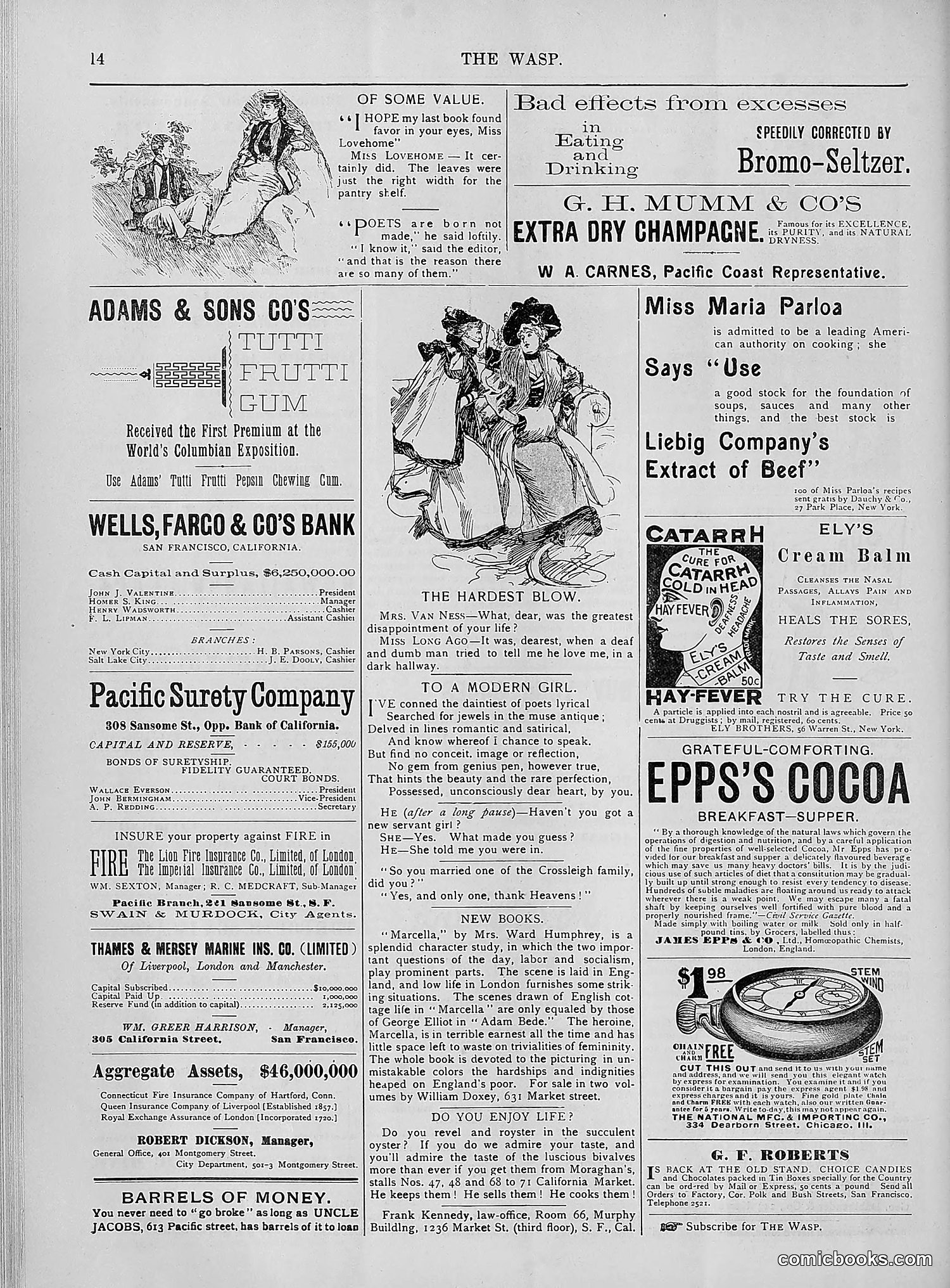 The Wasp — 1894 — page 351 of 552