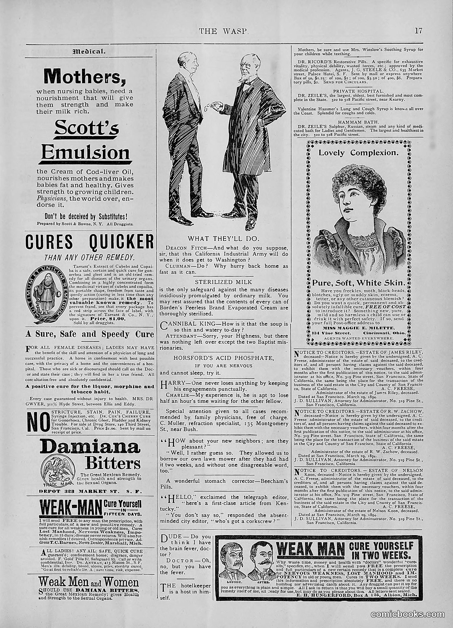 The Wasp — 1894 — page 354 of 552