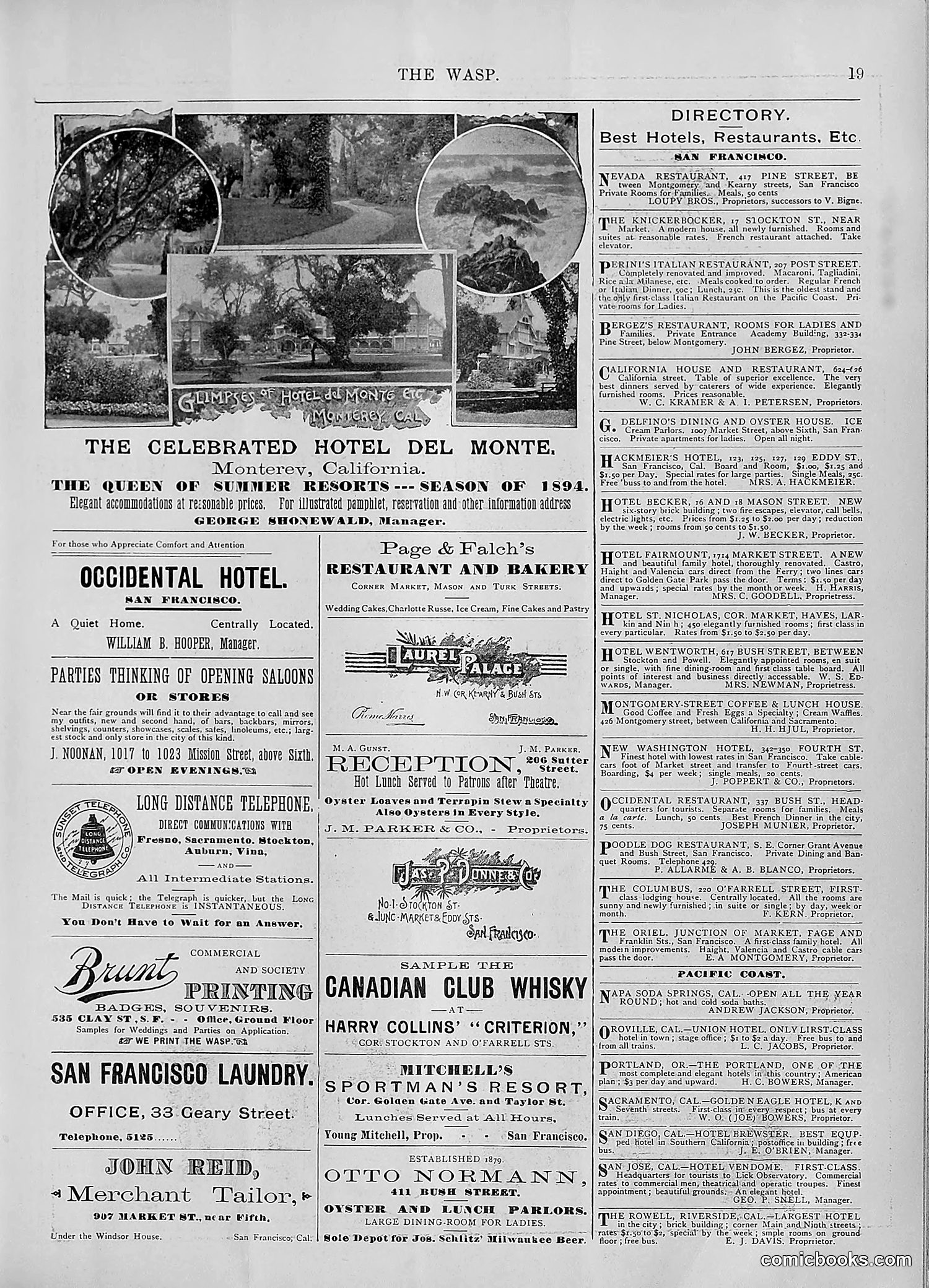 The Wasp — 1894 — page 356 of 552