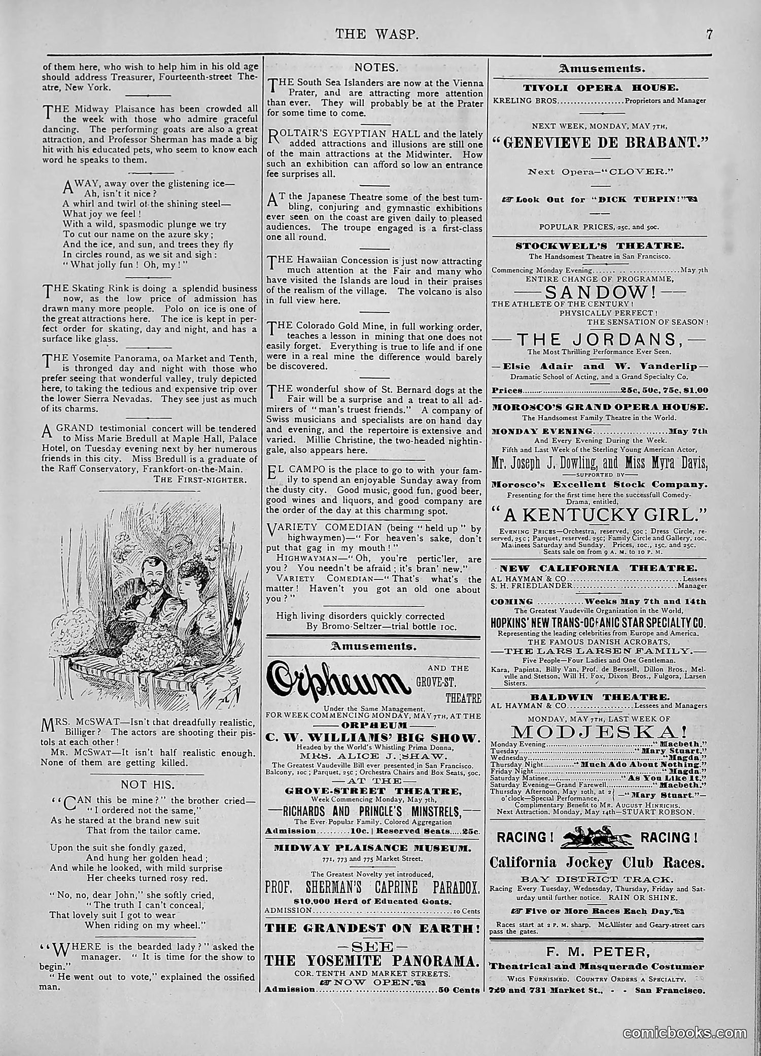 The Wasp — 1894 — page 364 of 552