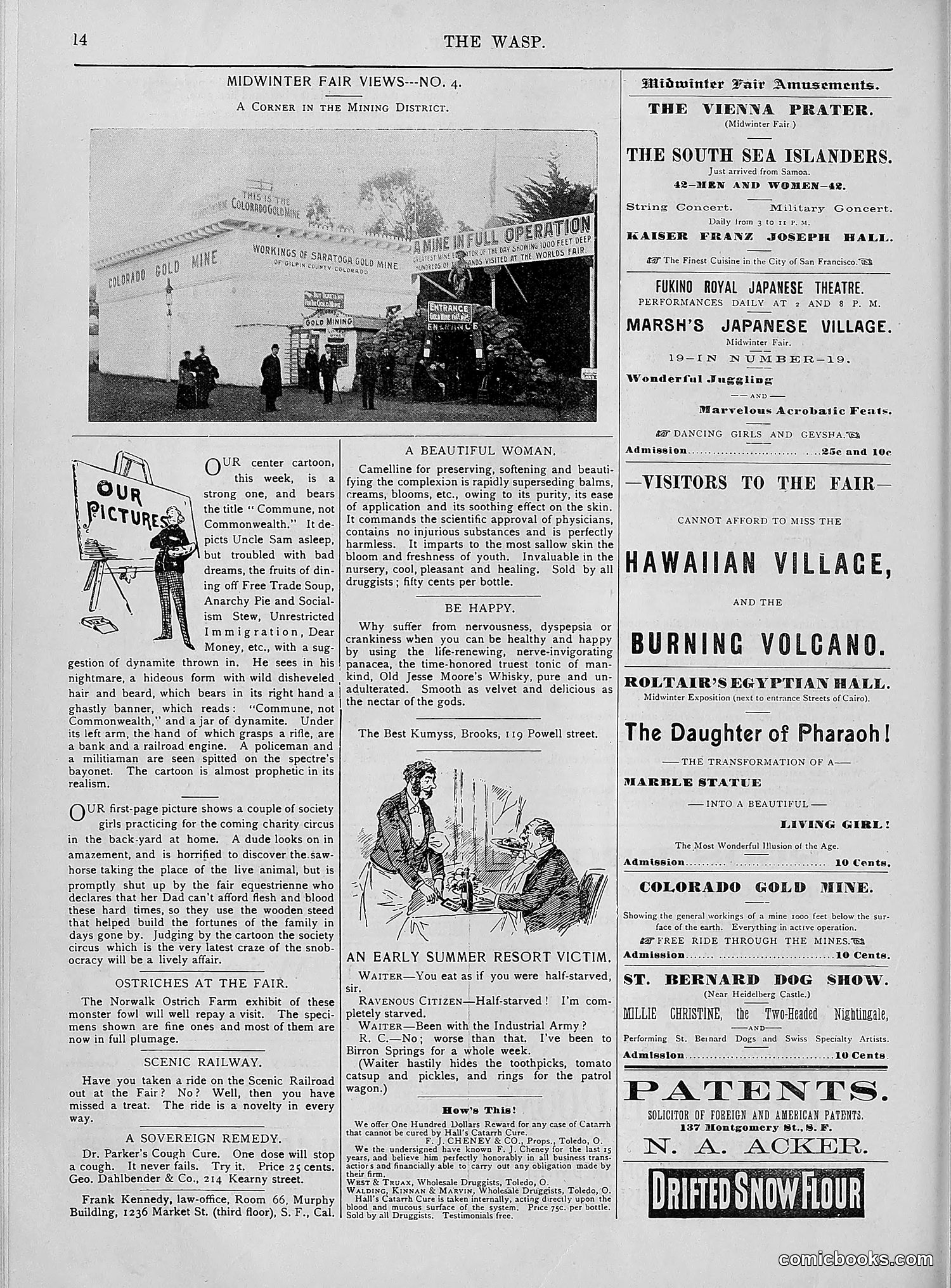 The Wasp — 1894 — page 371 of 552