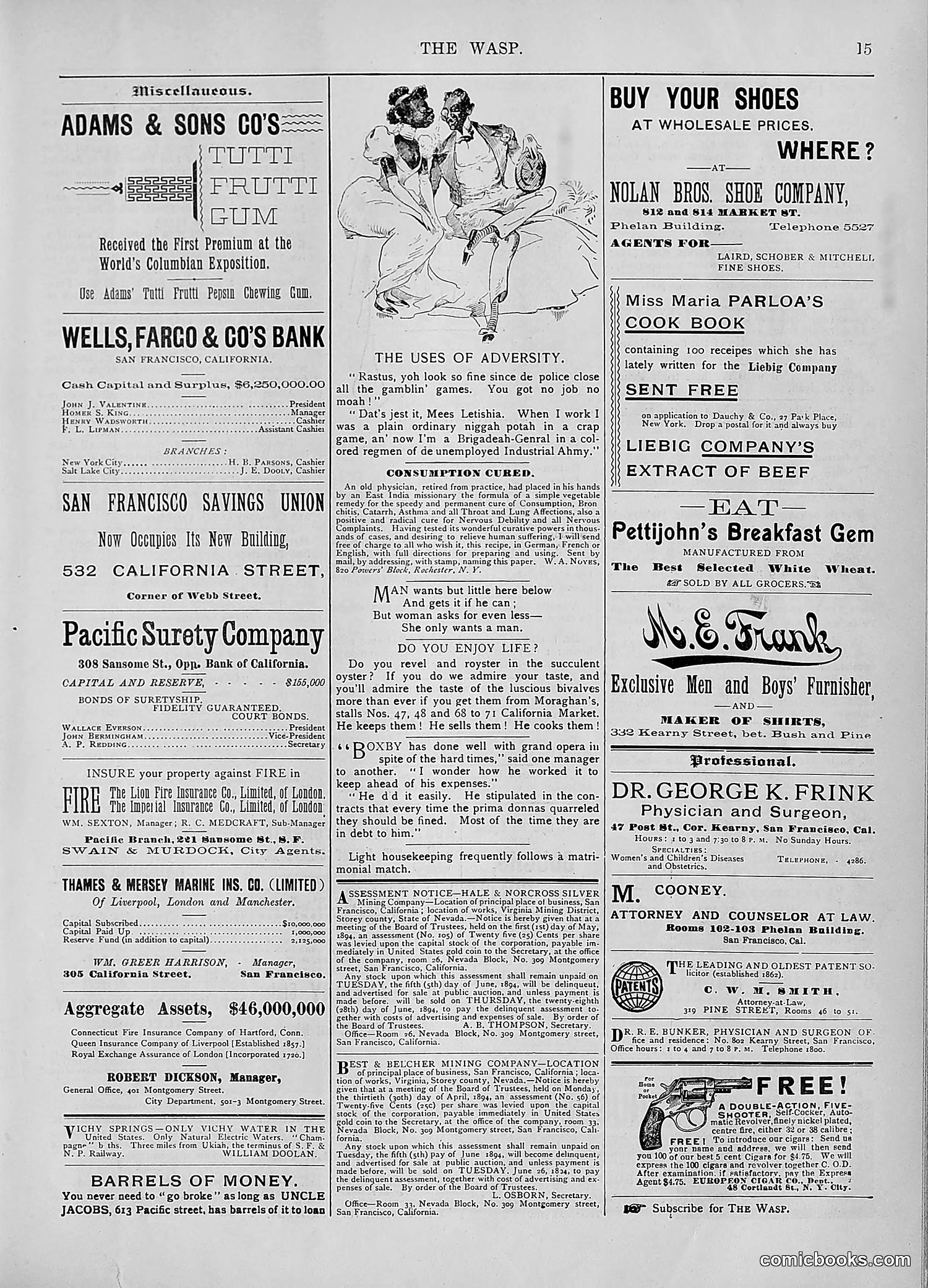 The Wasp — 1894 — page 372 of 552