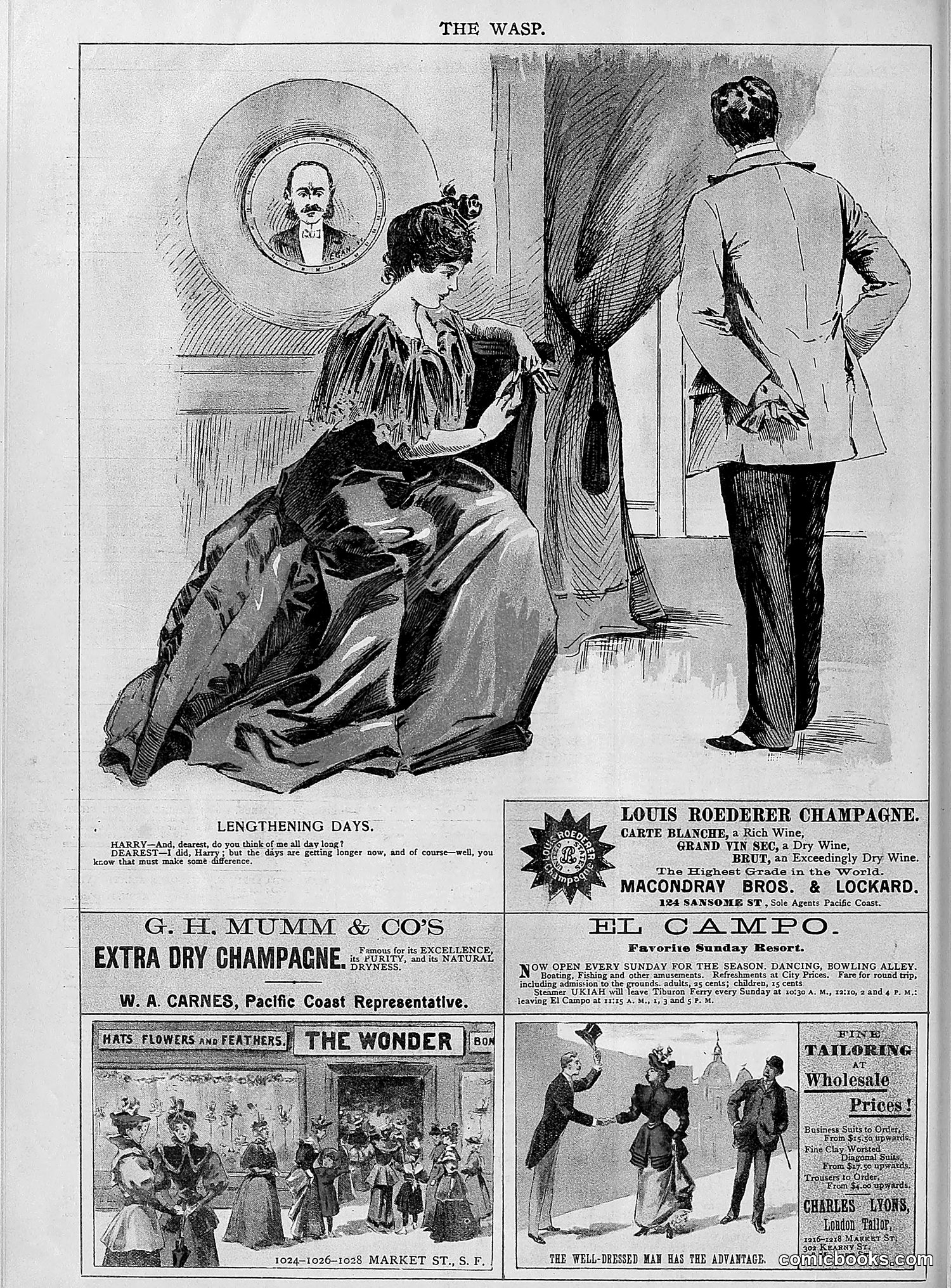 The Wasp — 1894 — page 377 of 552