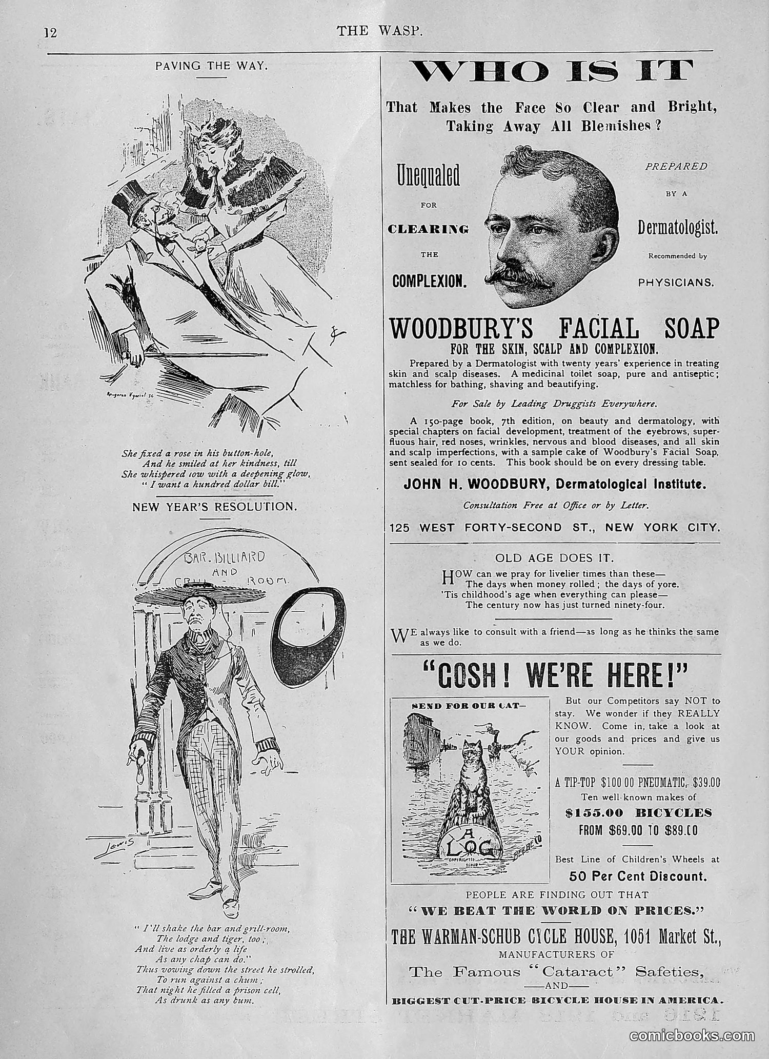 The Wasp — 1894 — page 39 of 552