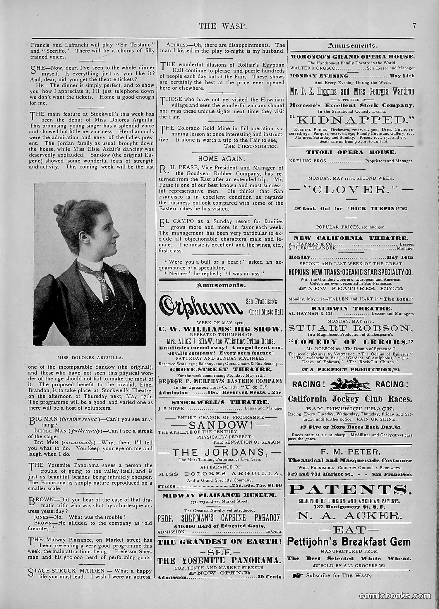 The Wasp — 1894 — page 384 of 552