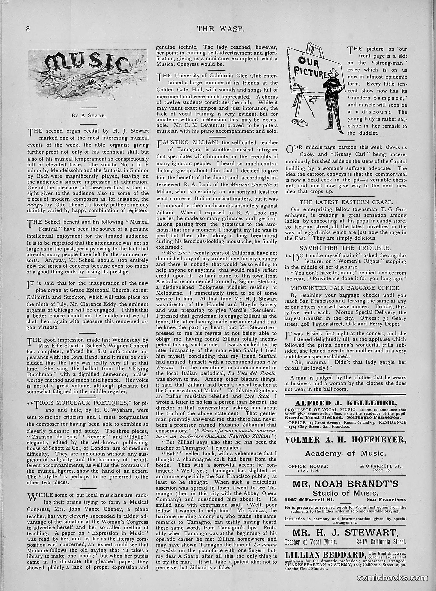 The Wasp — 1894 — page 385 of 552