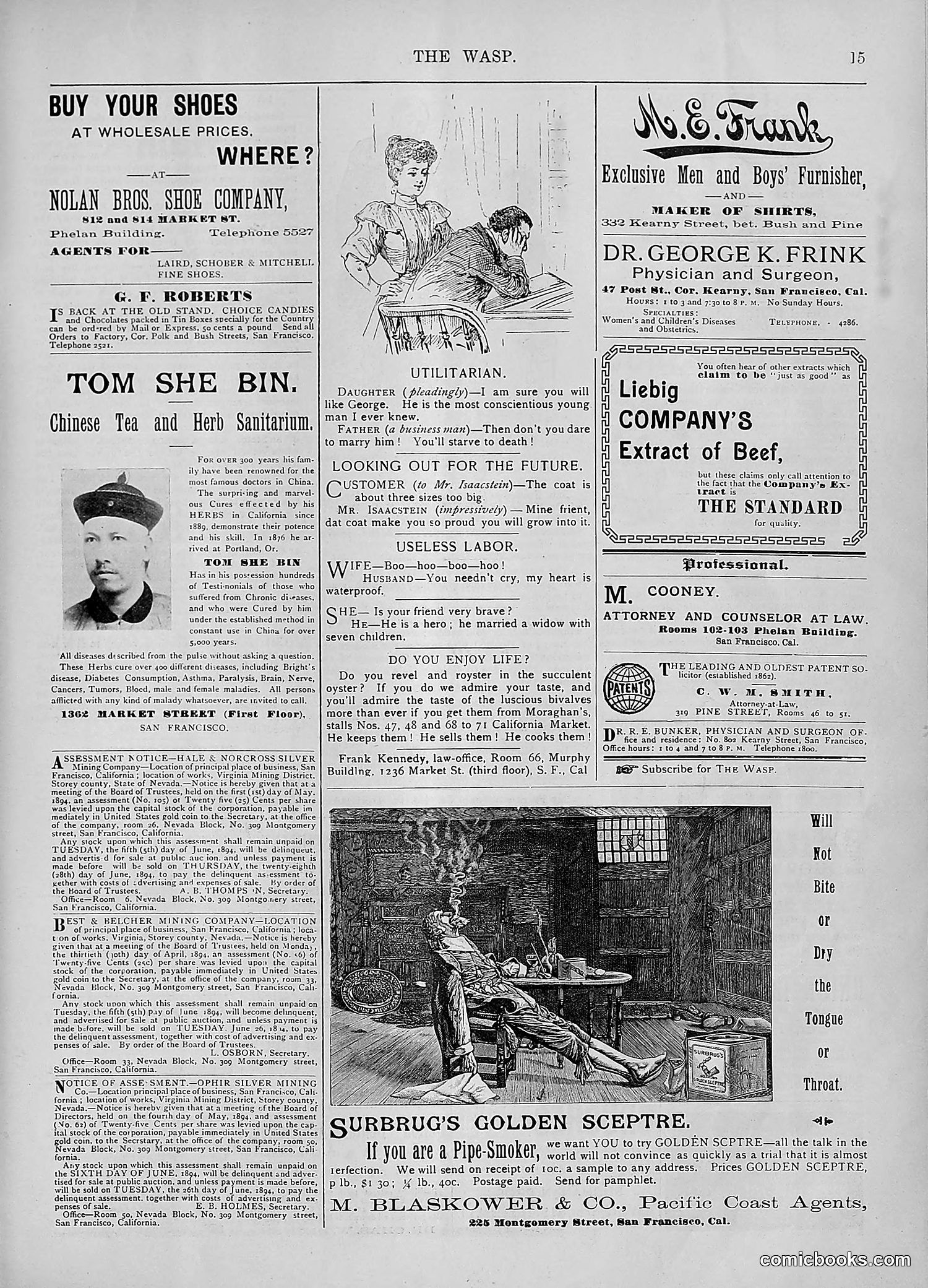 The Wasp — 1894 — page 394 of 552