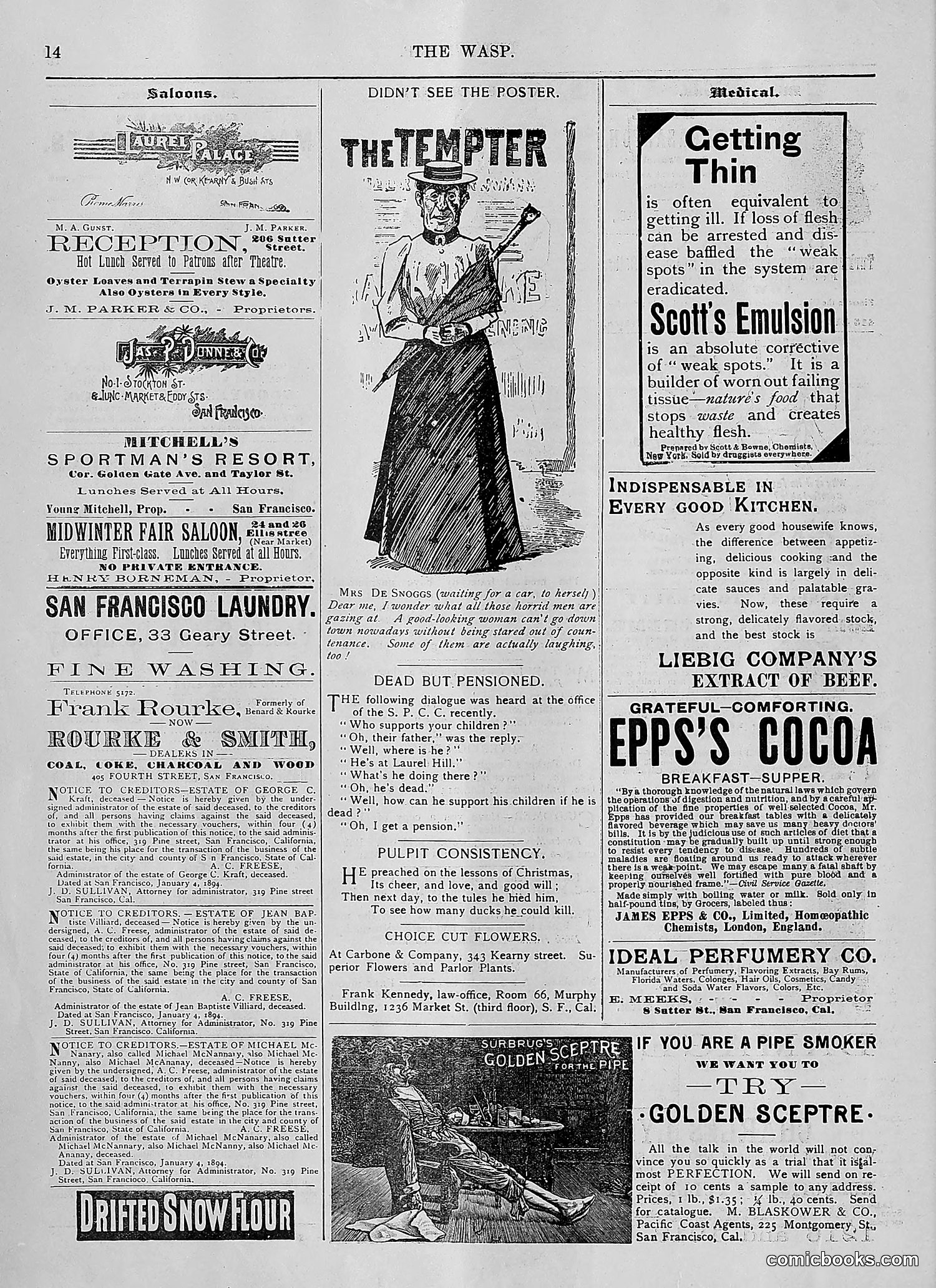 The Wasp — 1894 — page 41 of 552