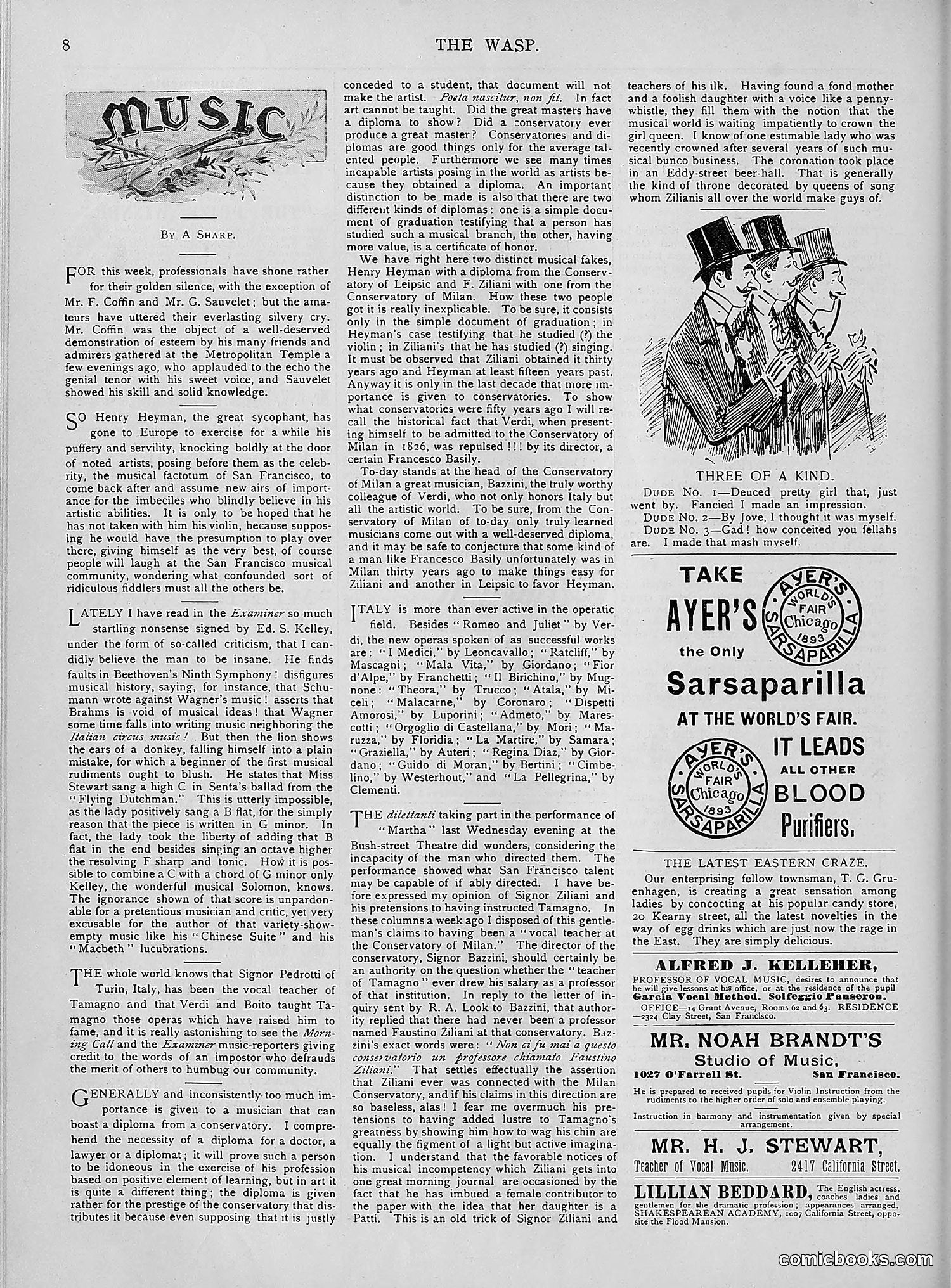 The Wasp — 1894 — page 407 of 552