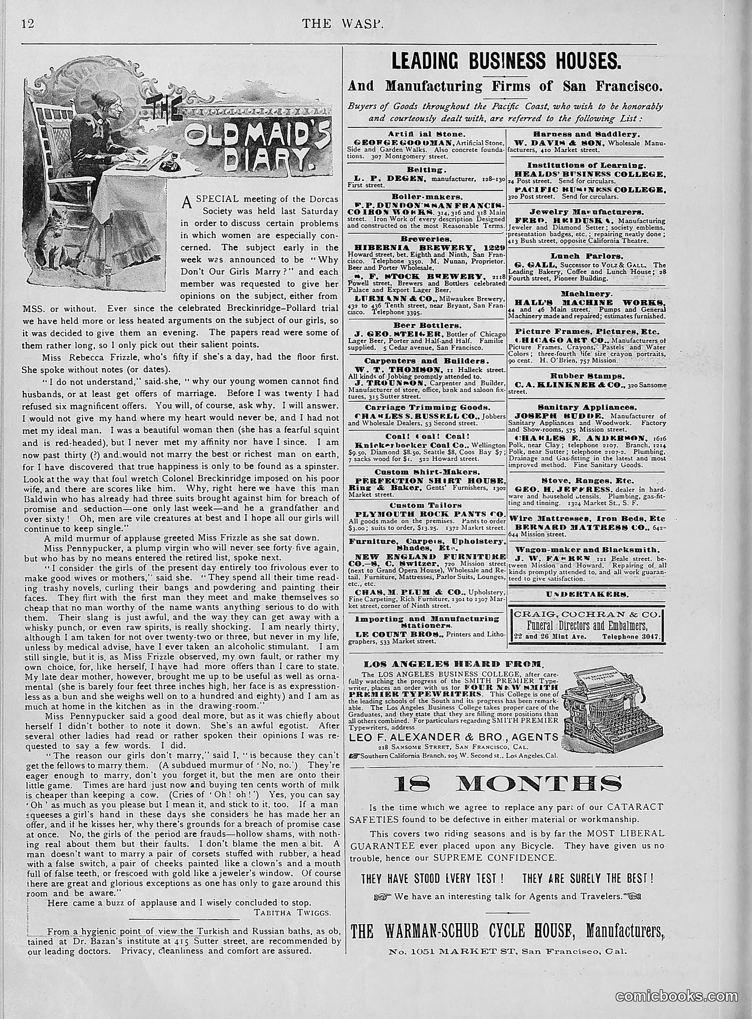 The Wasp — 1894 — page 411 of 552