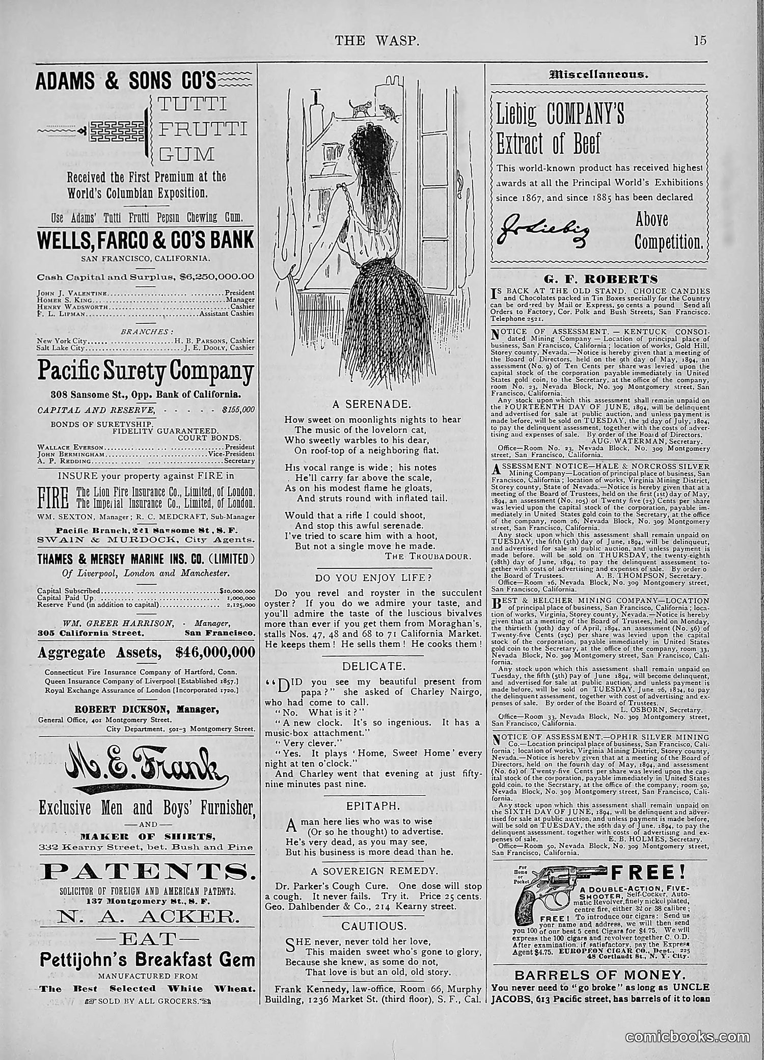 The Wasp — 1894 — page 414 of 552