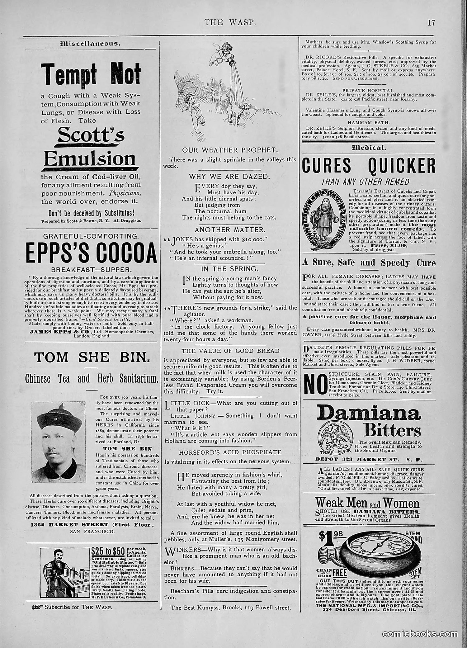 The Wasp — 1894 — page 416 of 552