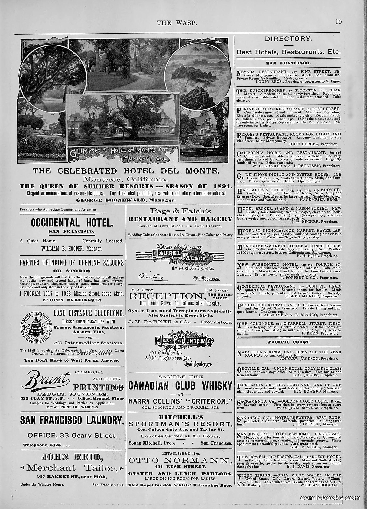 The Wasp — 1894 — page 418 of 552