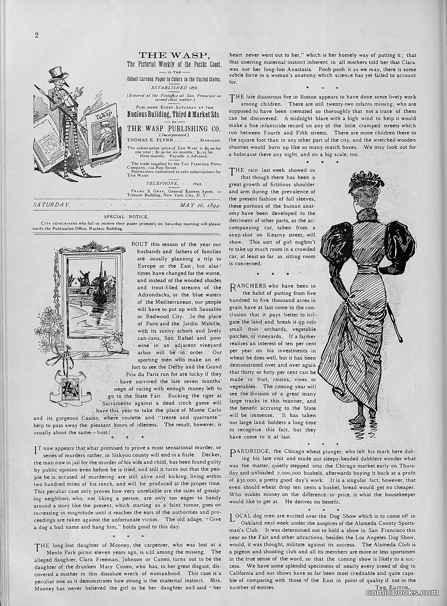 The Wasp — 1894 — page 421 of 552