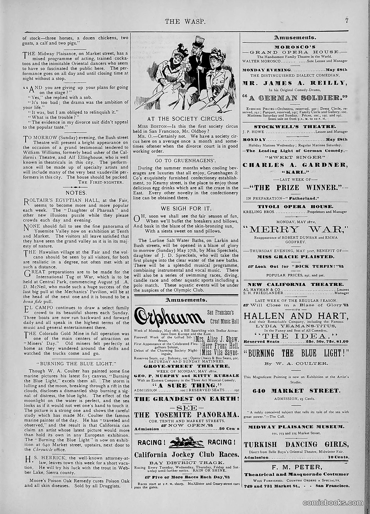 The Wasp — 1894 — page 426 of 552