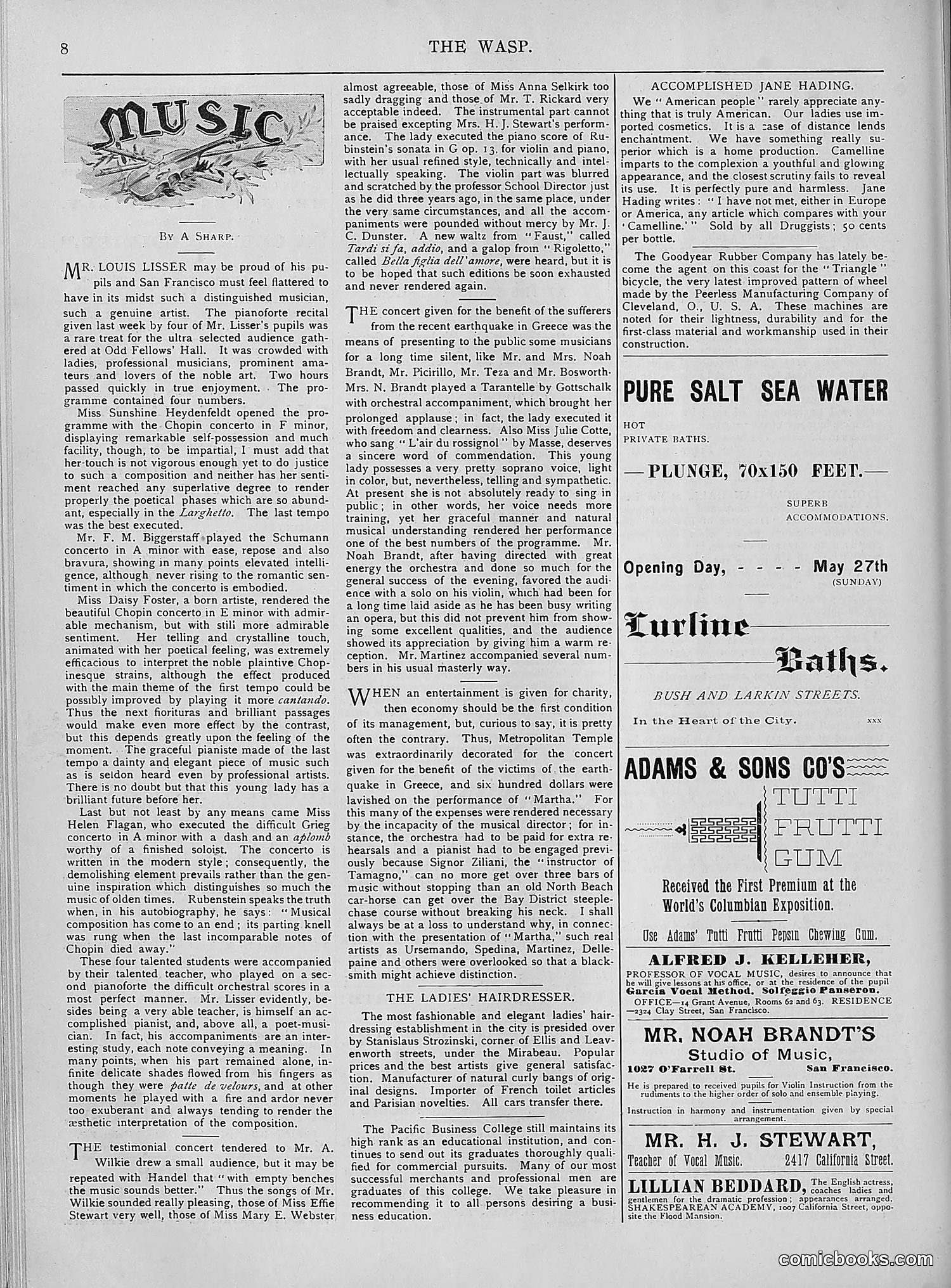 The Wasp — 1894 — page 427 of 552