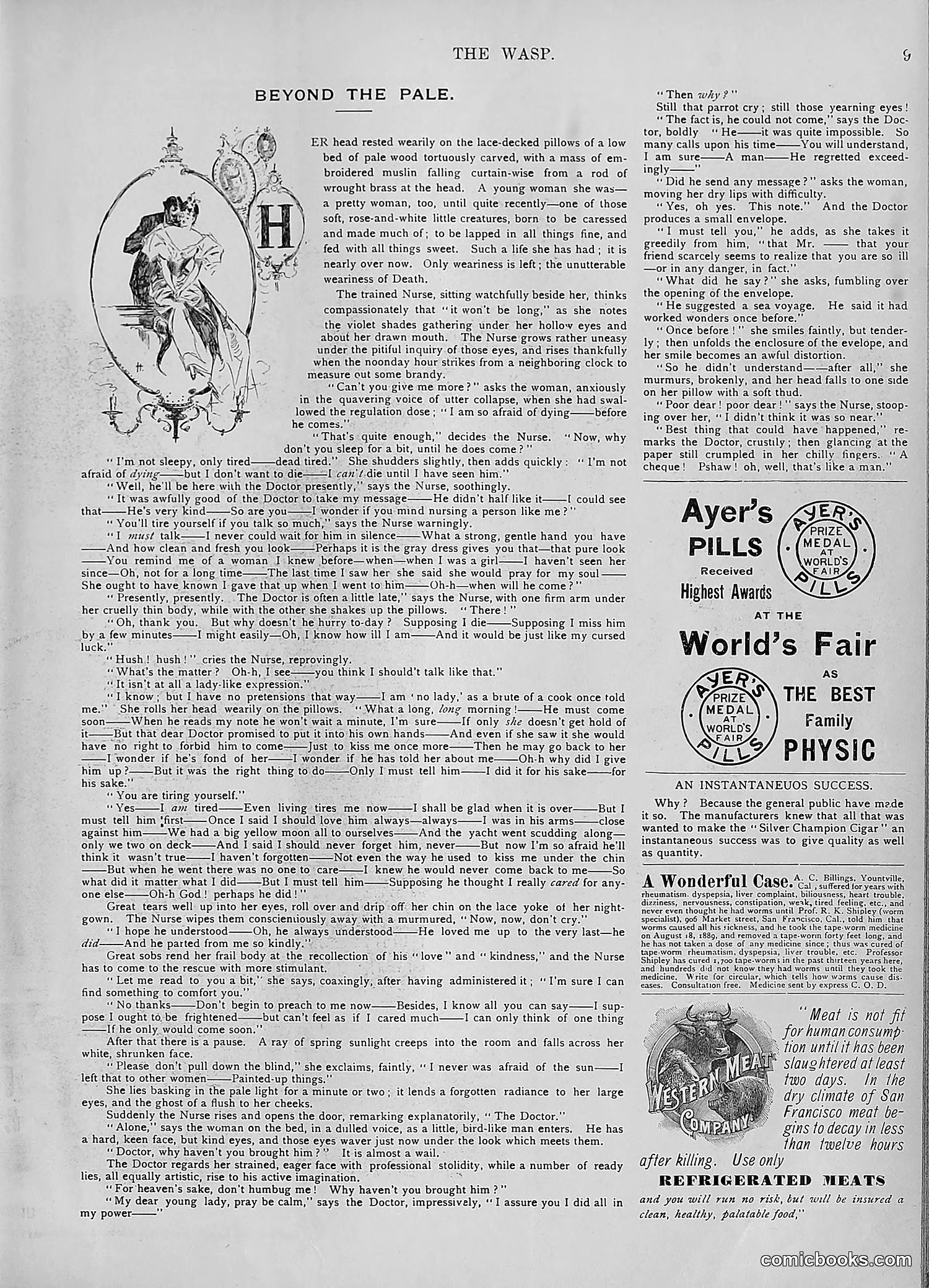 The Wasp — 1894 — page 428 of 552