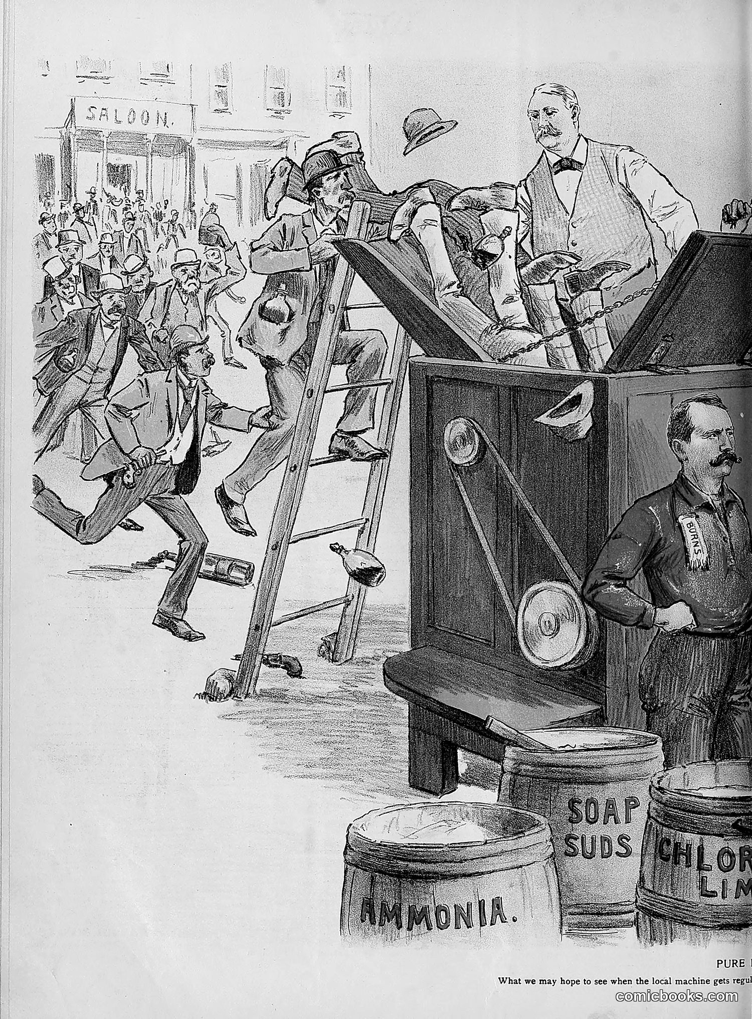 The Wasp — 1894 — page 429 of 552