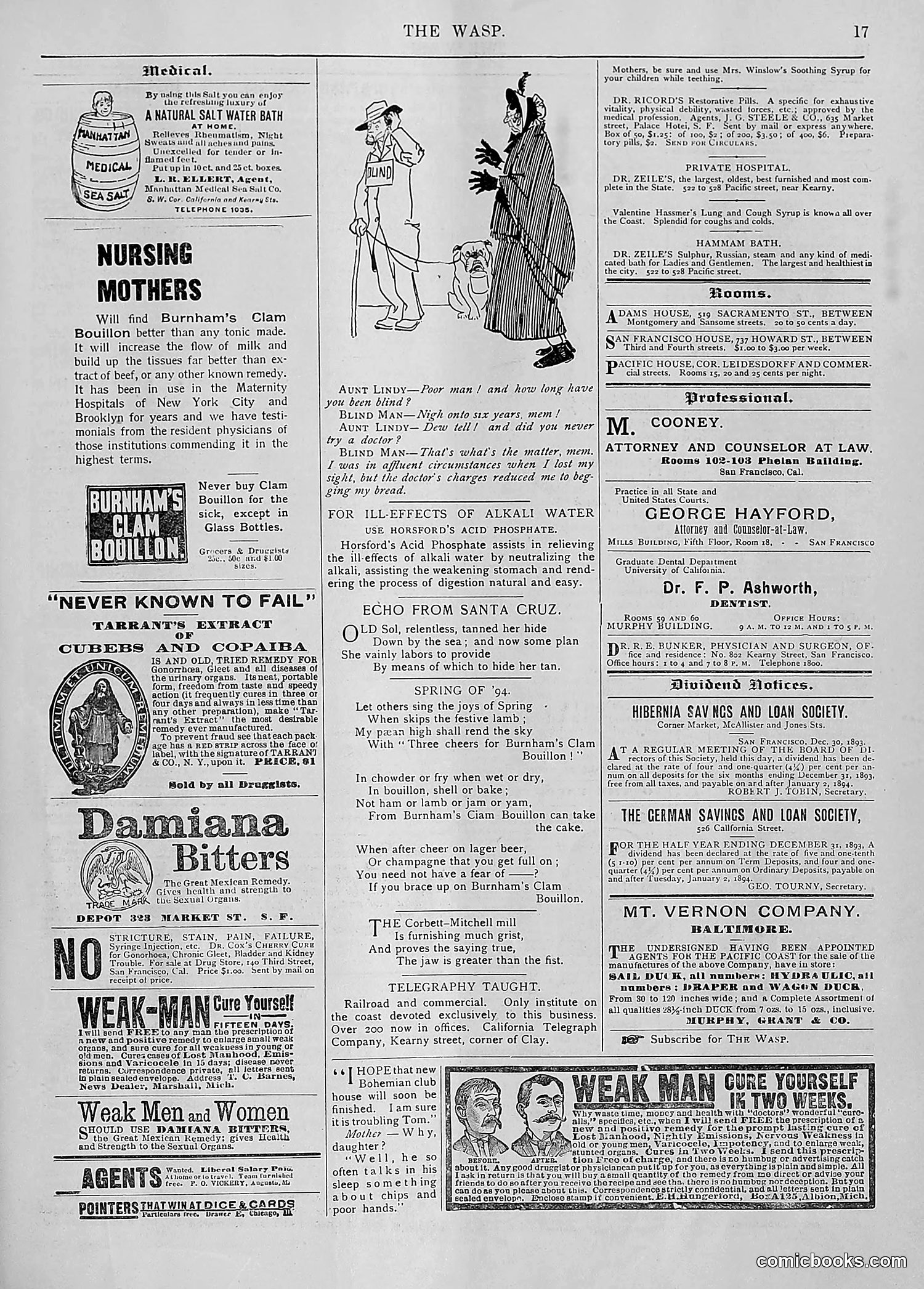 The Wasp — 1894 — page 44 of 552