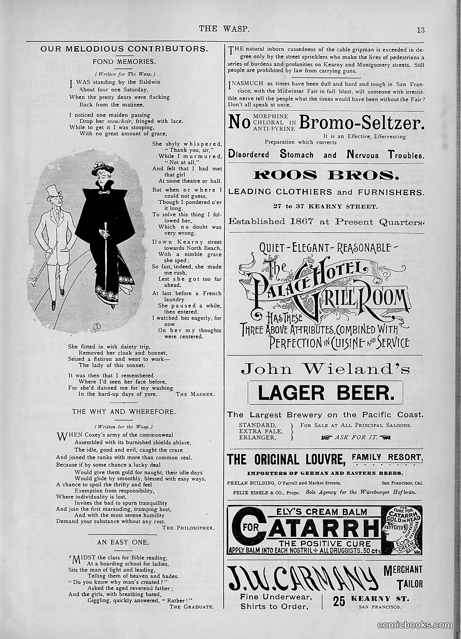 The Wasp — 1894 — page 432 of 552