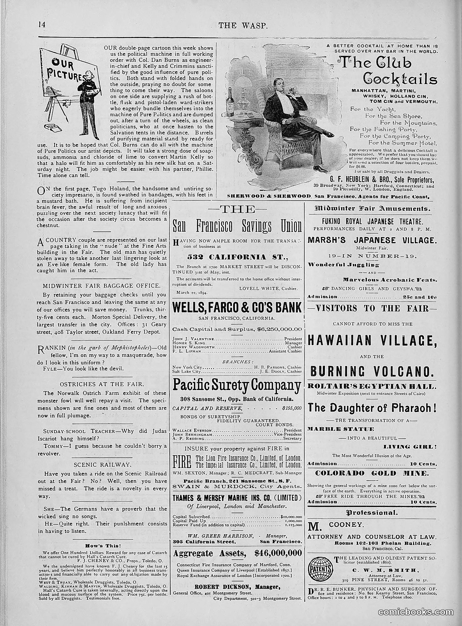 The Wasp — 1894 — page 433 of 552
