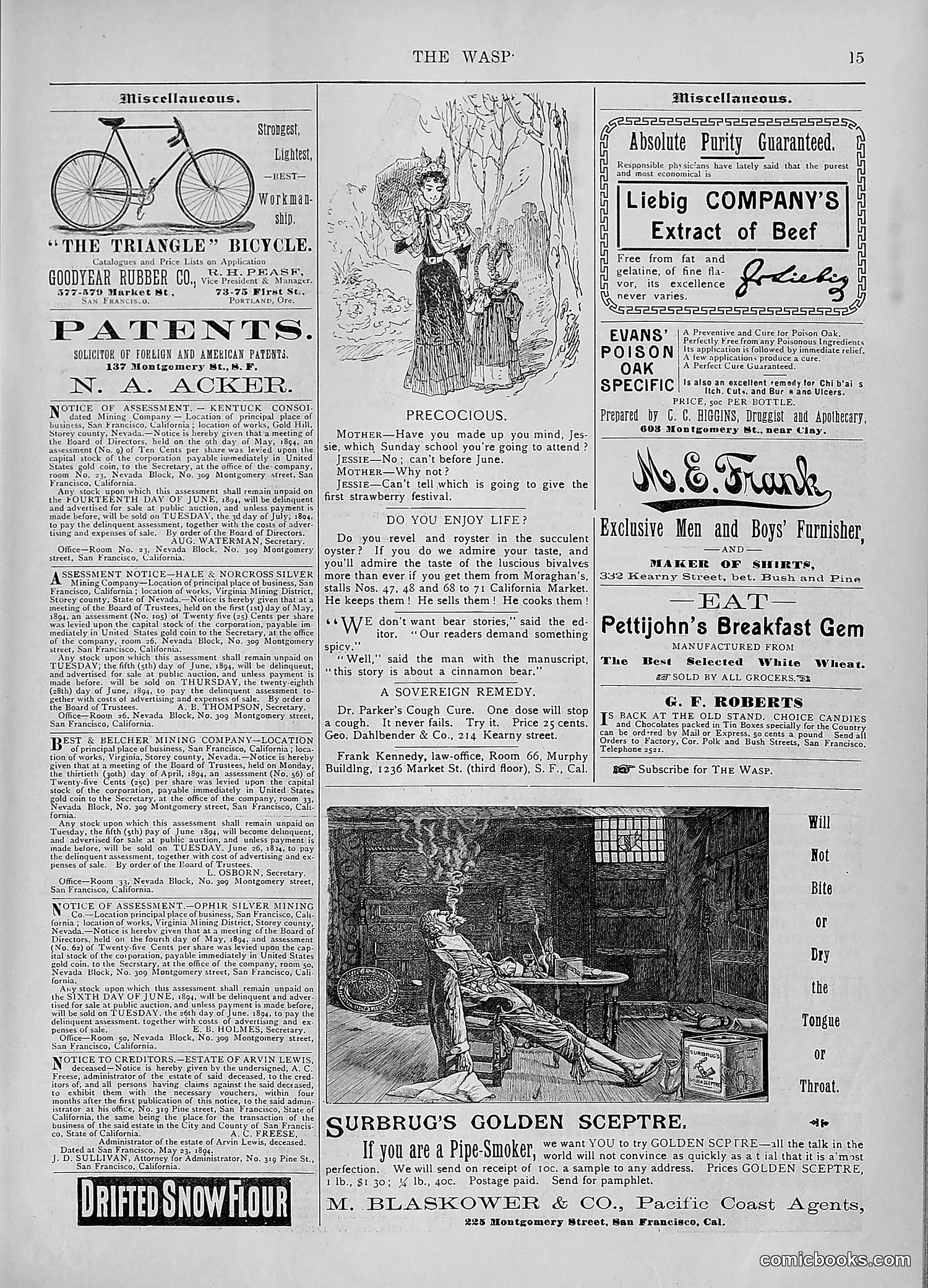 The Wasp — 1894 — page 434 of 552