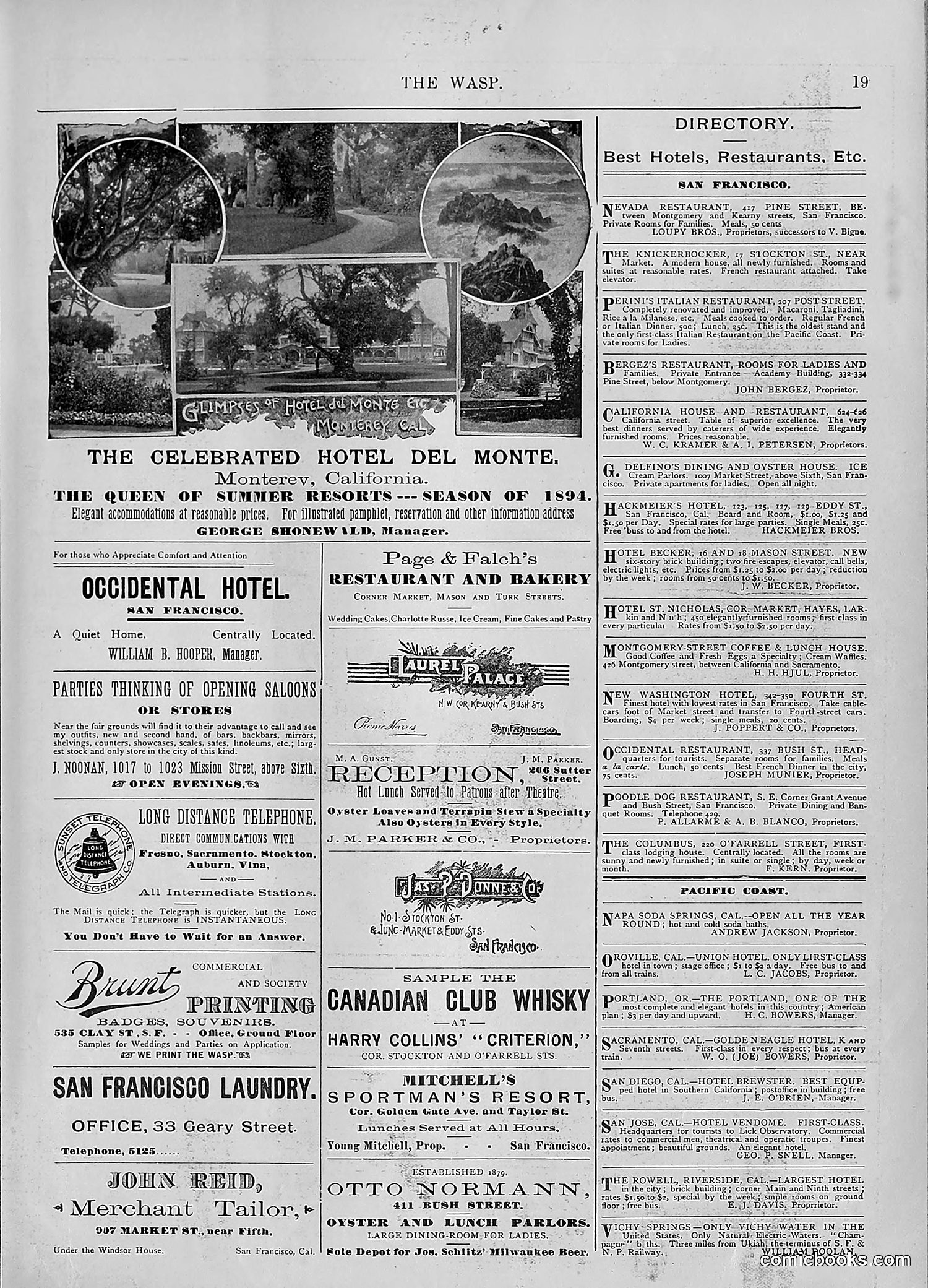 The Wasp — 1894 — page 438 of 552