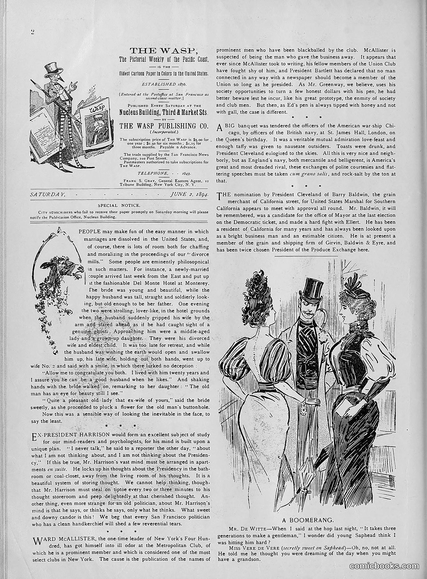 The Wasp — 1894 — page 441 of 552