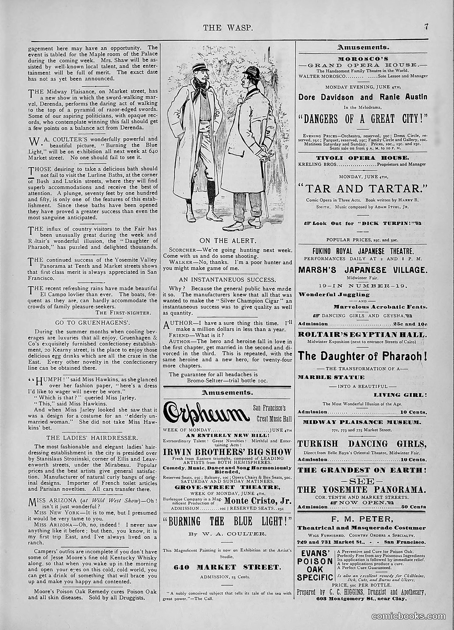 The Wasp — 1894 — page 446 of 552