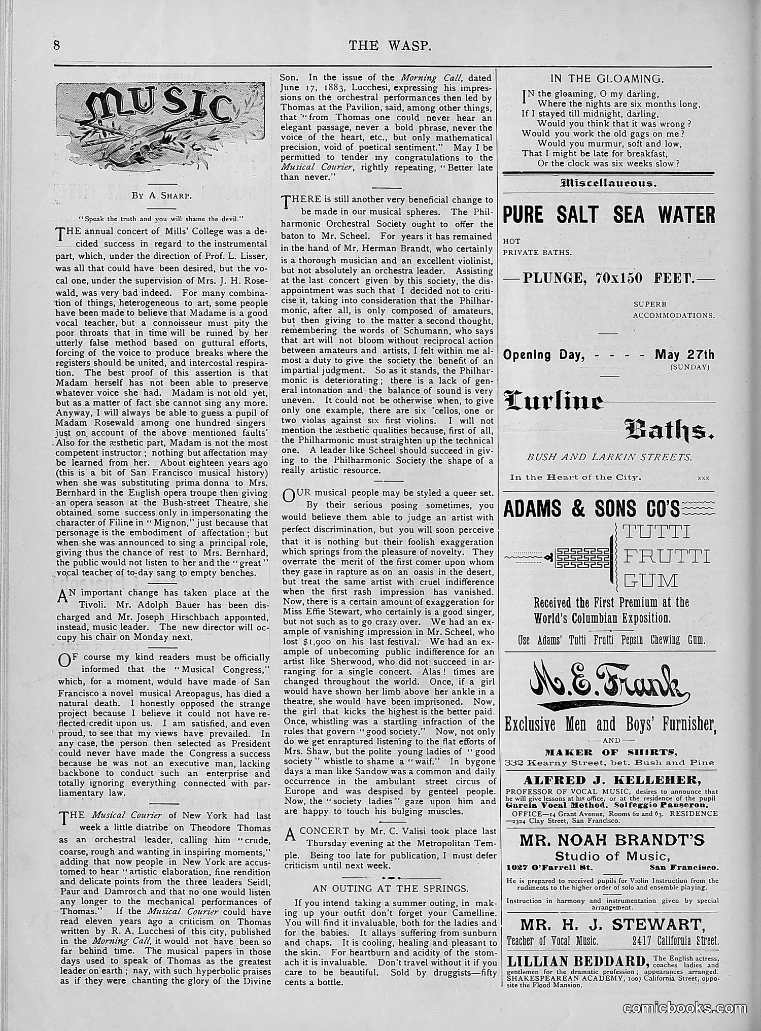 The Wasp — 1894 — page 447 of 552