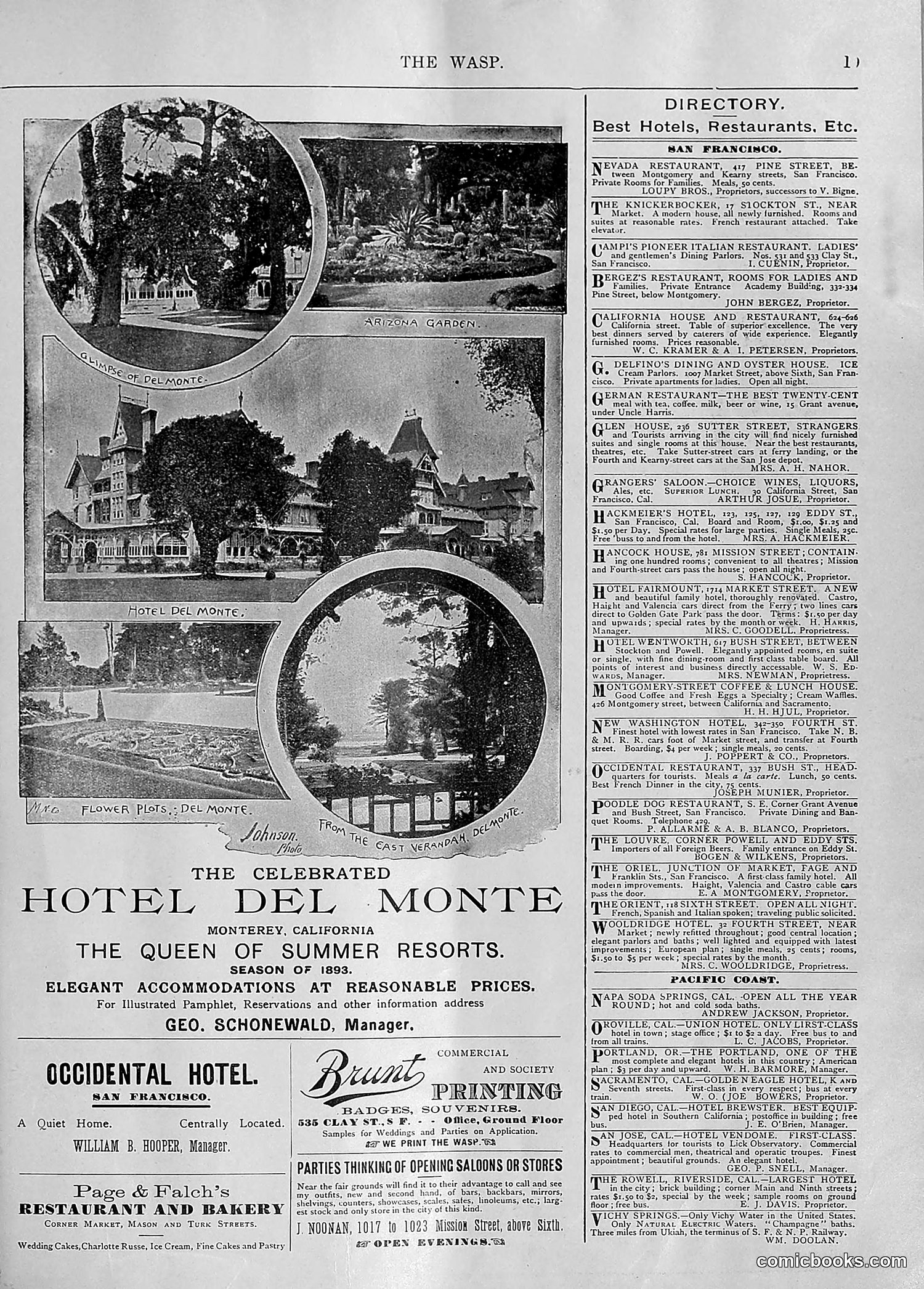 The Wasp — 1894 — page 46 of 552