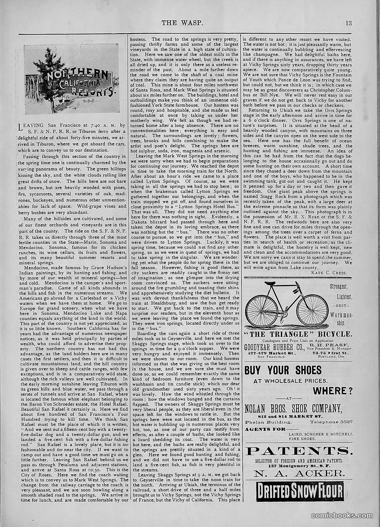 The Wasp — 1894 — page 452 of 552