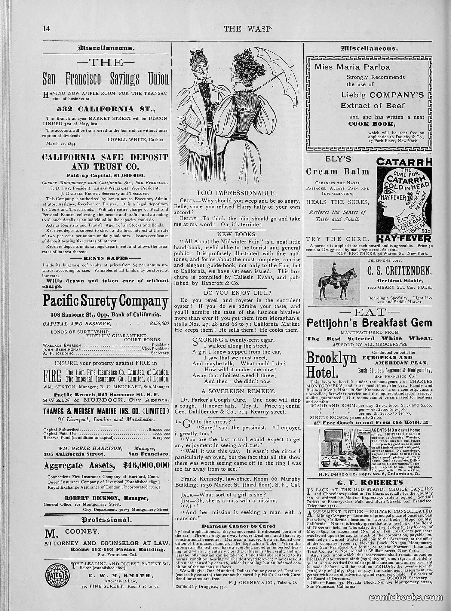 The Wasp — 1894 — page 453 of 552