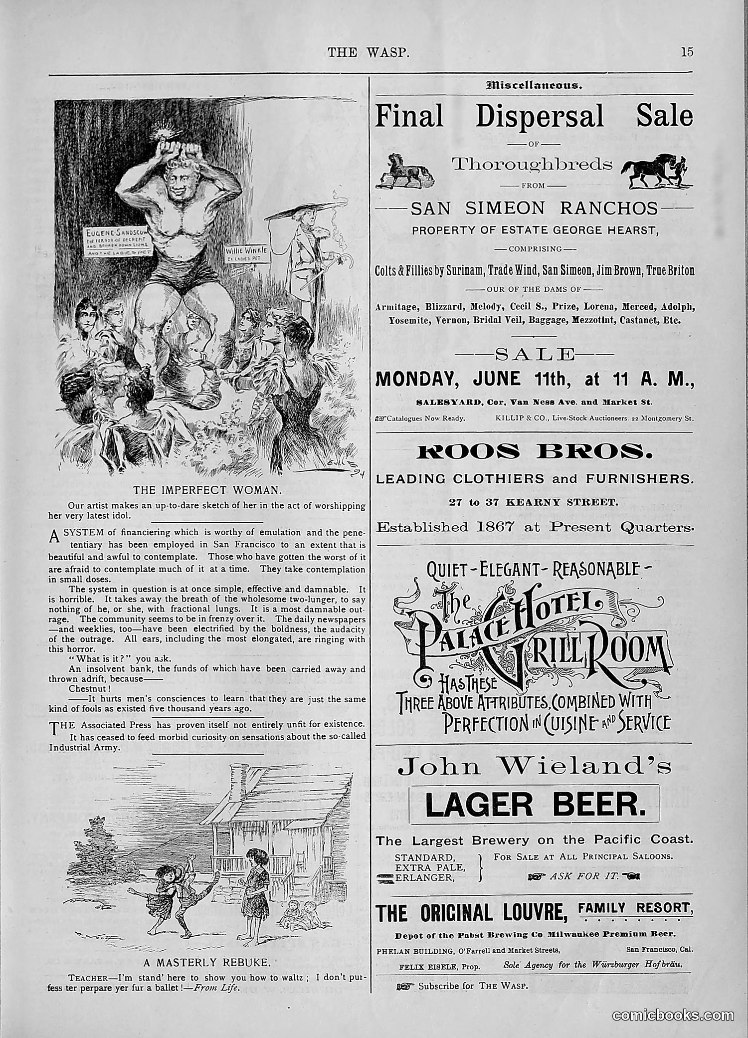 The Wasp — 1894 — page 454 of 552