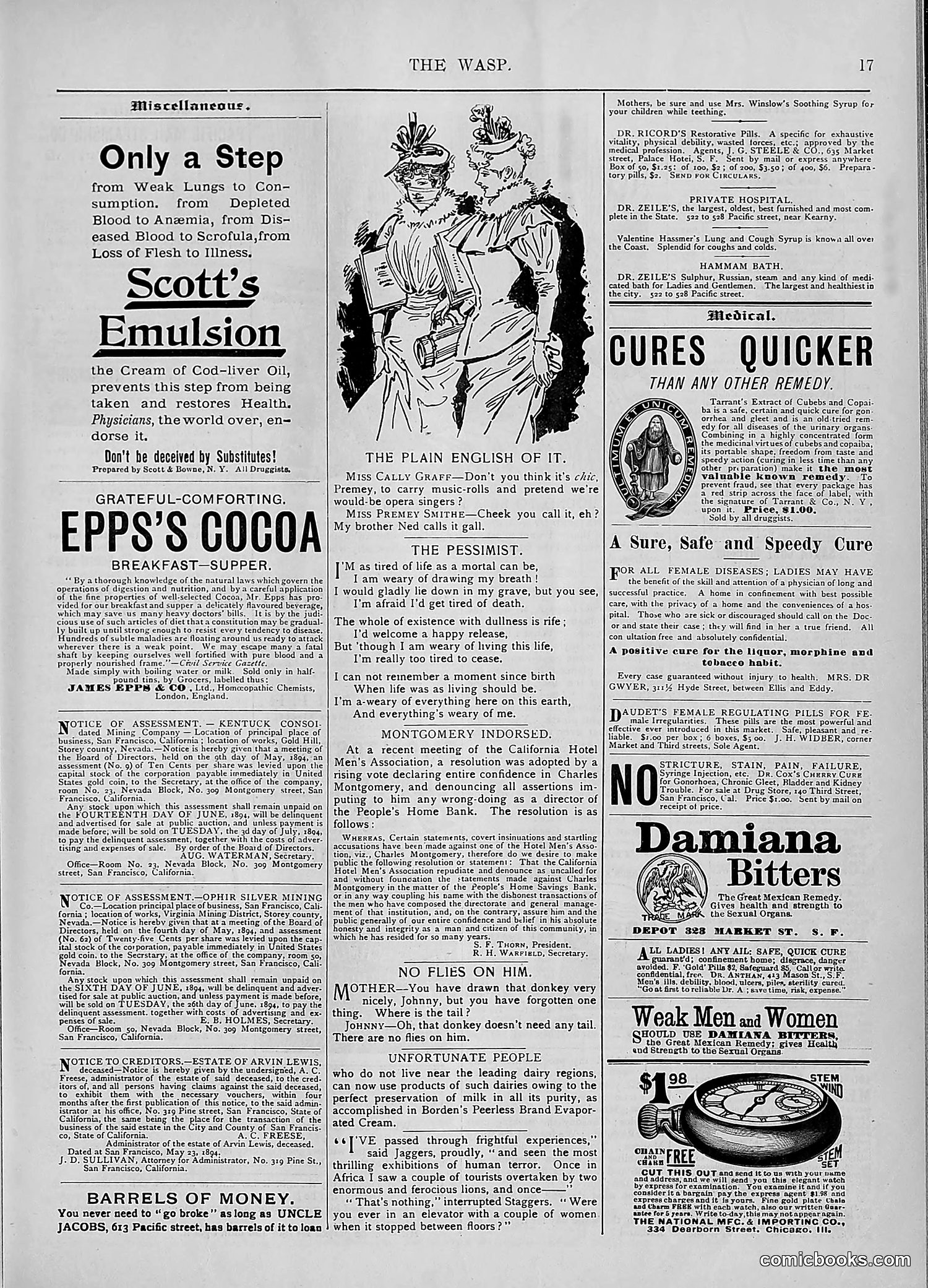 The Wasp — 1894 — page 456 of 552