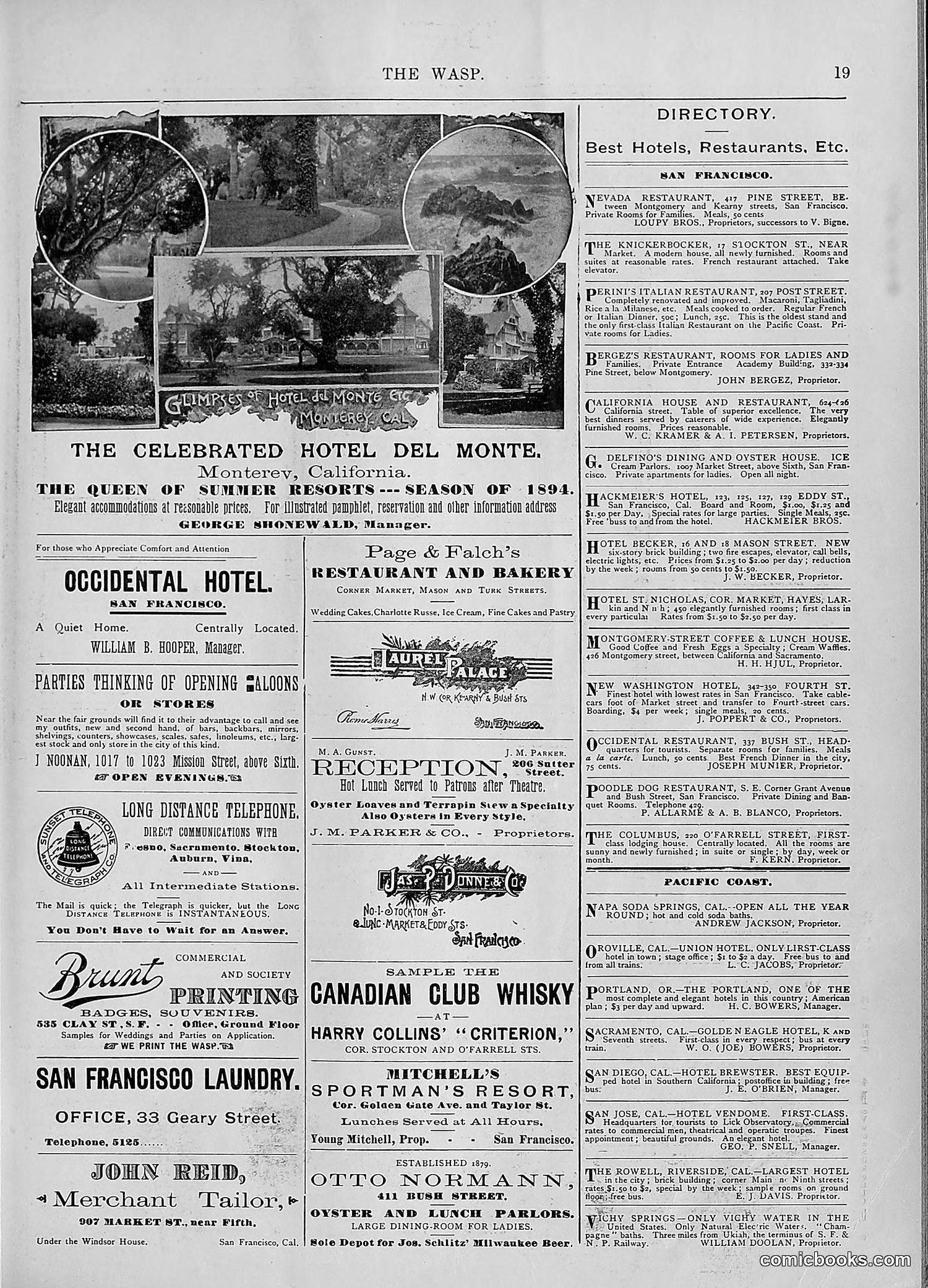 The Wasp — 1894 — page 458 of 552