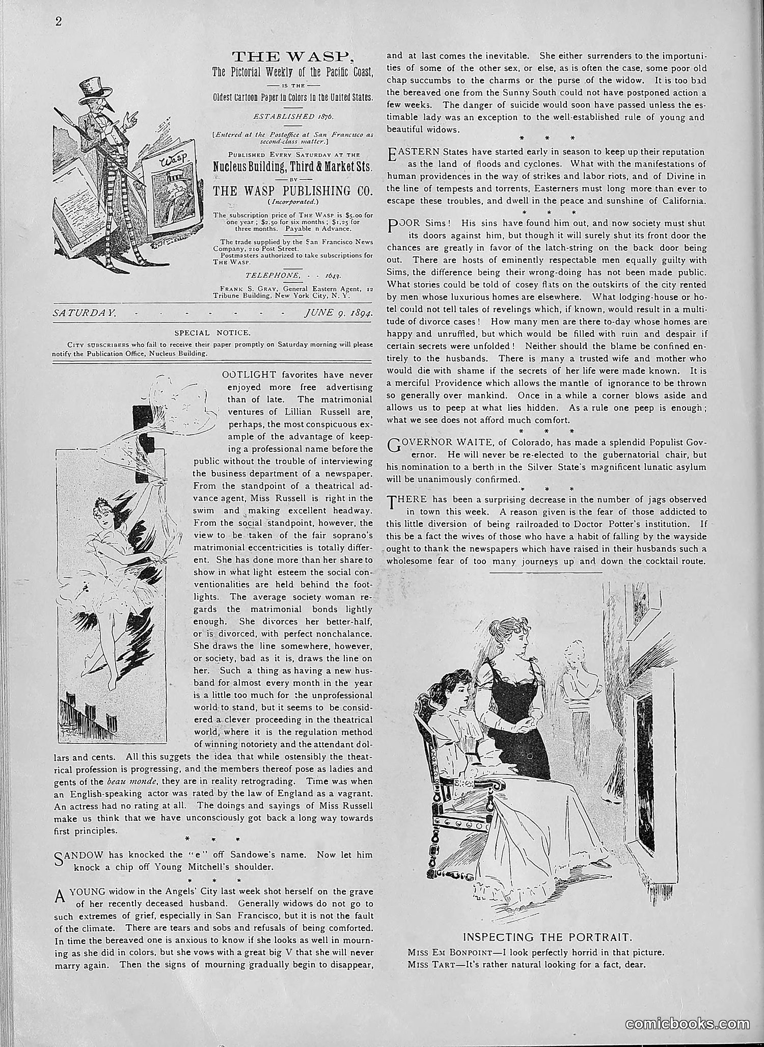 The Wasp — 1894 — page 461 of 552