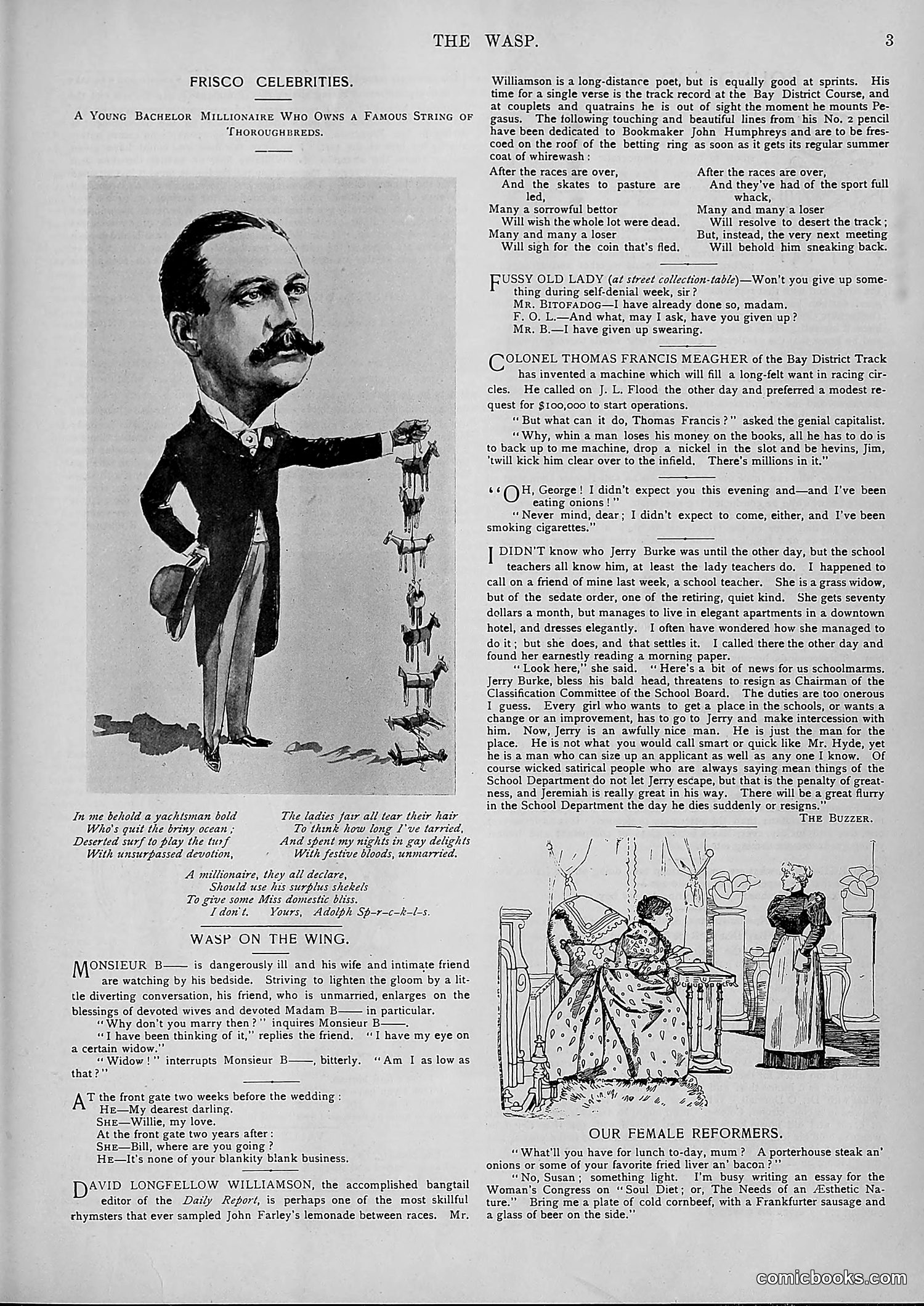 The Wasp — 1894 — page 462 of 552