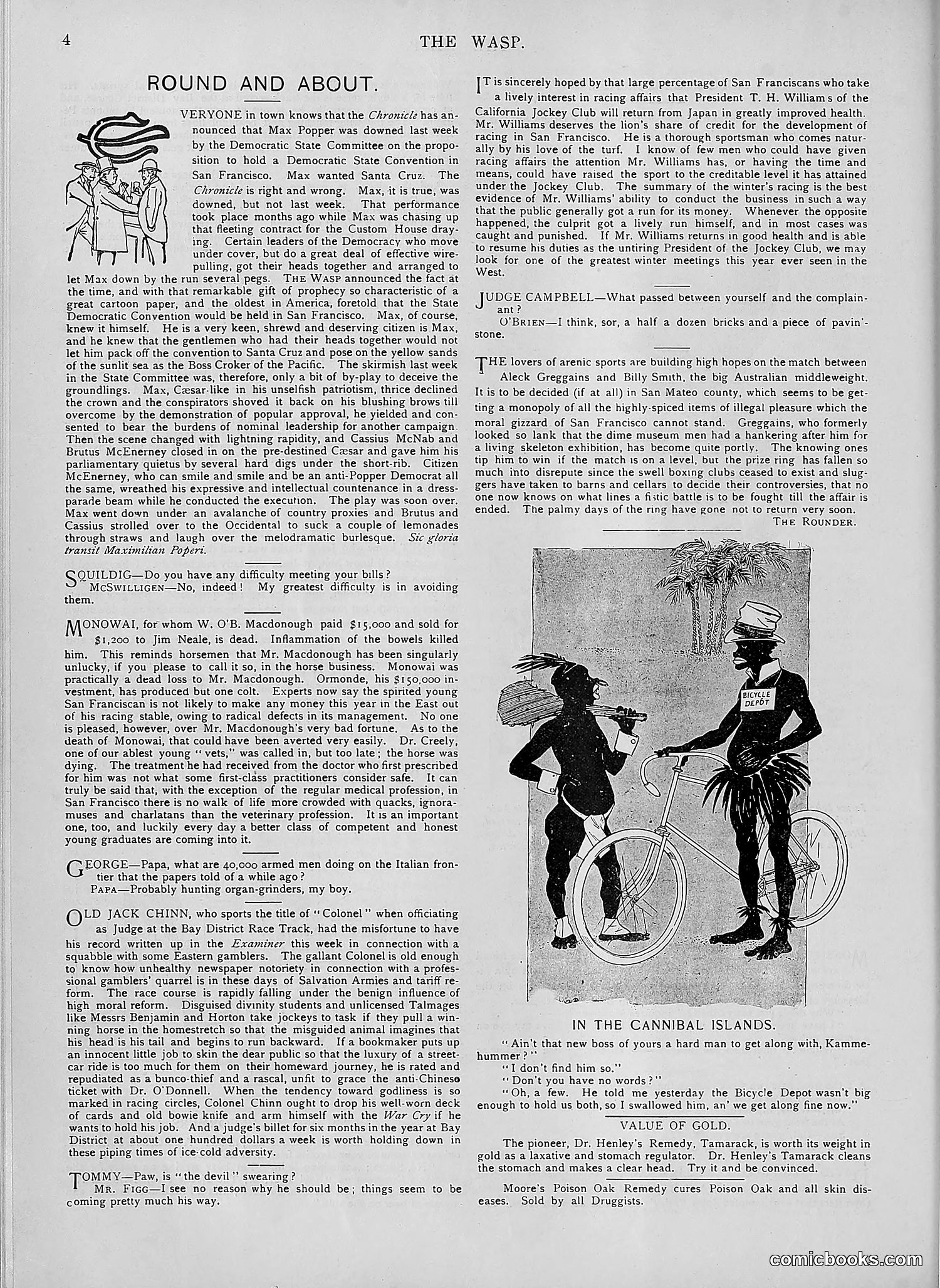 The Wasp — 1894 — page 463 of 552