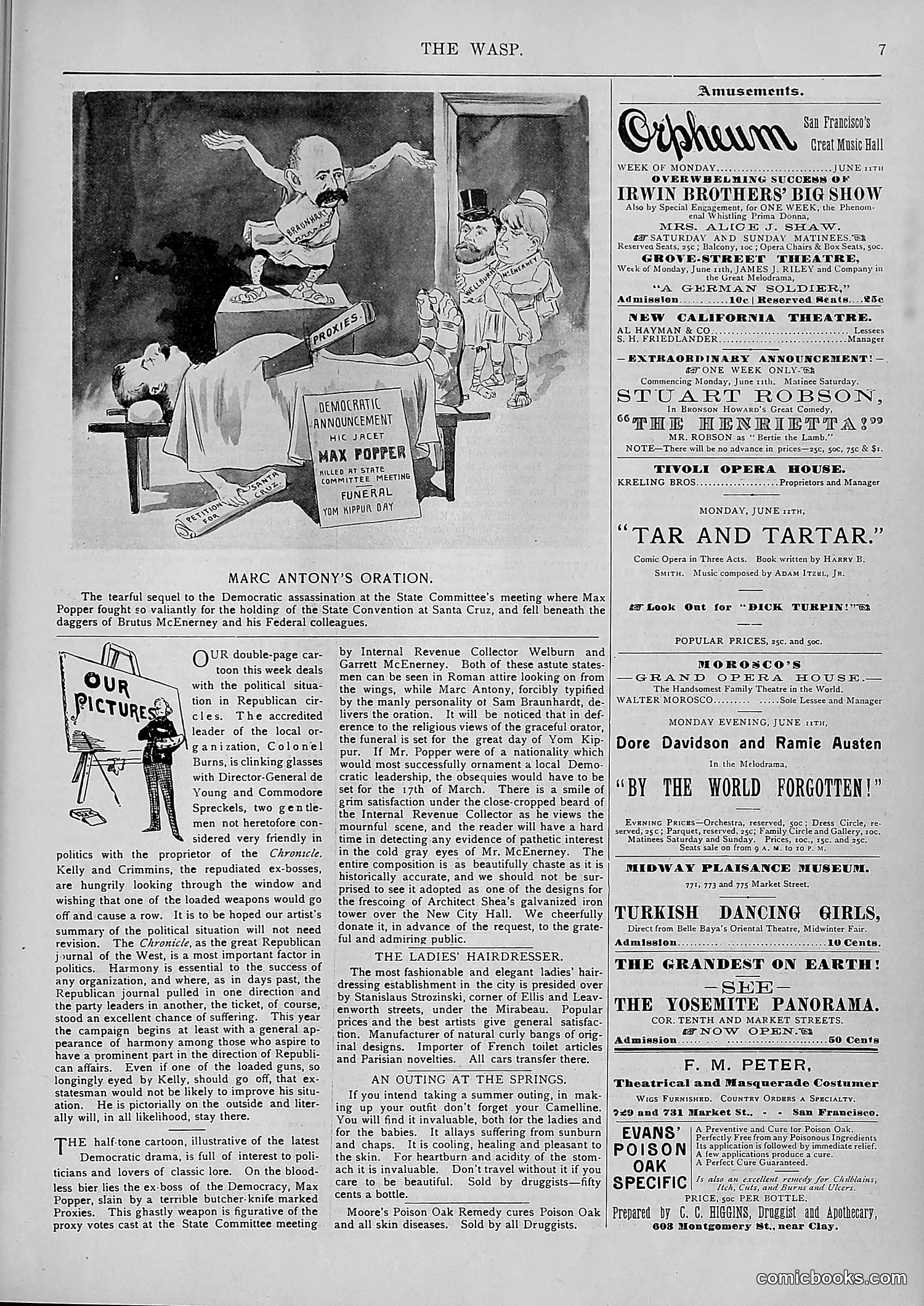 The Wasp — 1894 — page 466 of 552