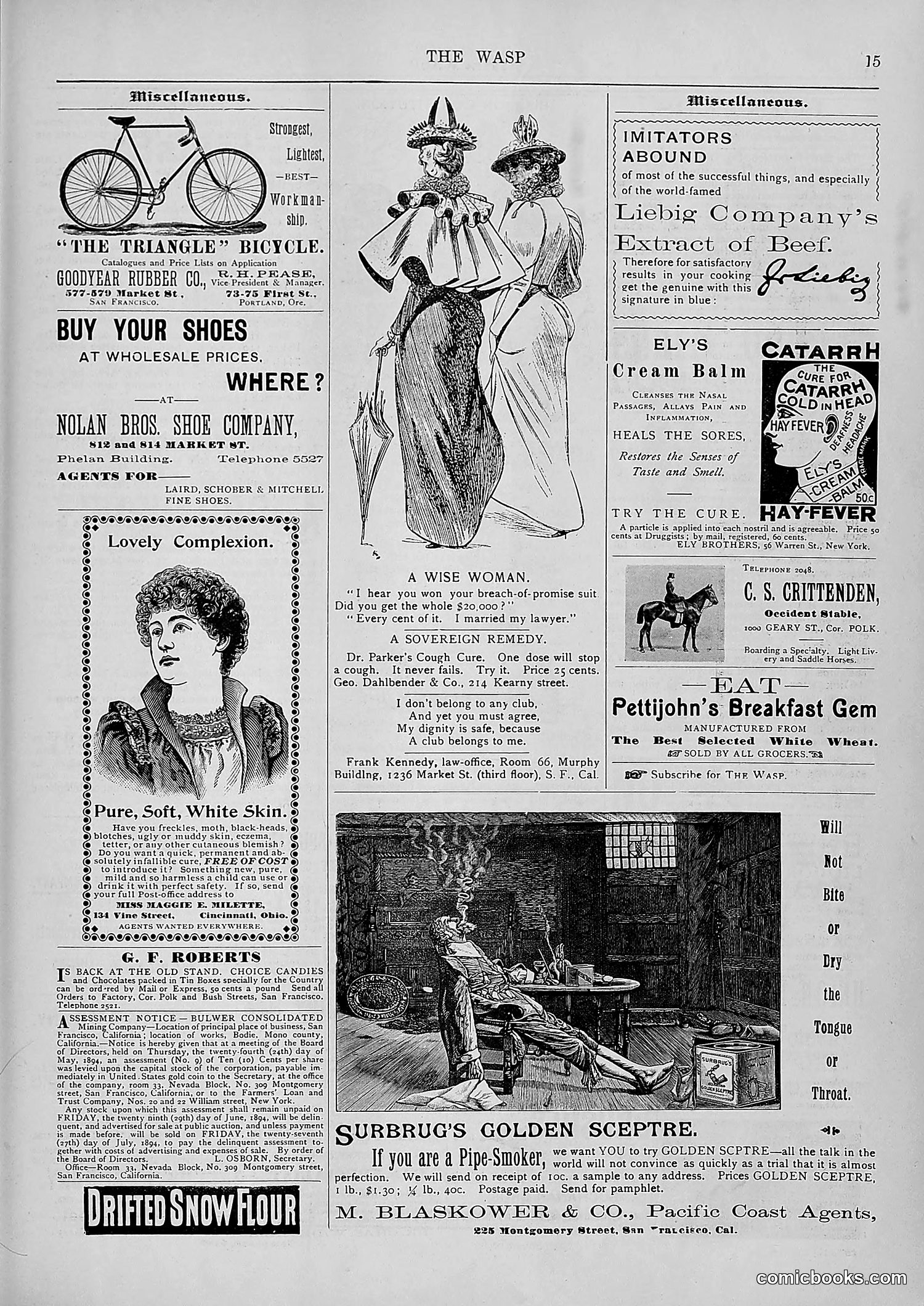 The Wasp — 1894 — page 474 of 552