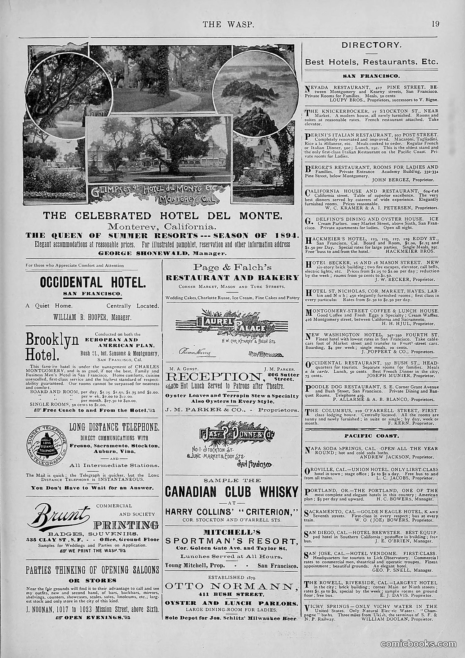 The Wasp — 1894 — page 478 of 552