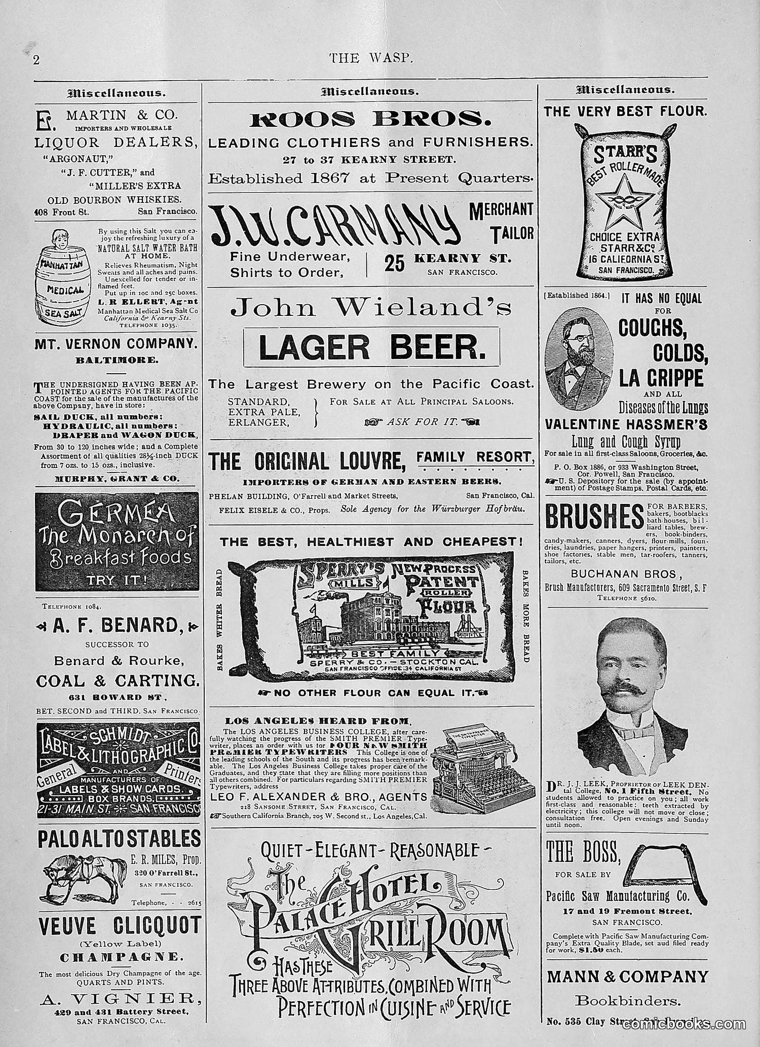 The Wasp — 1894 — page 49 of 552