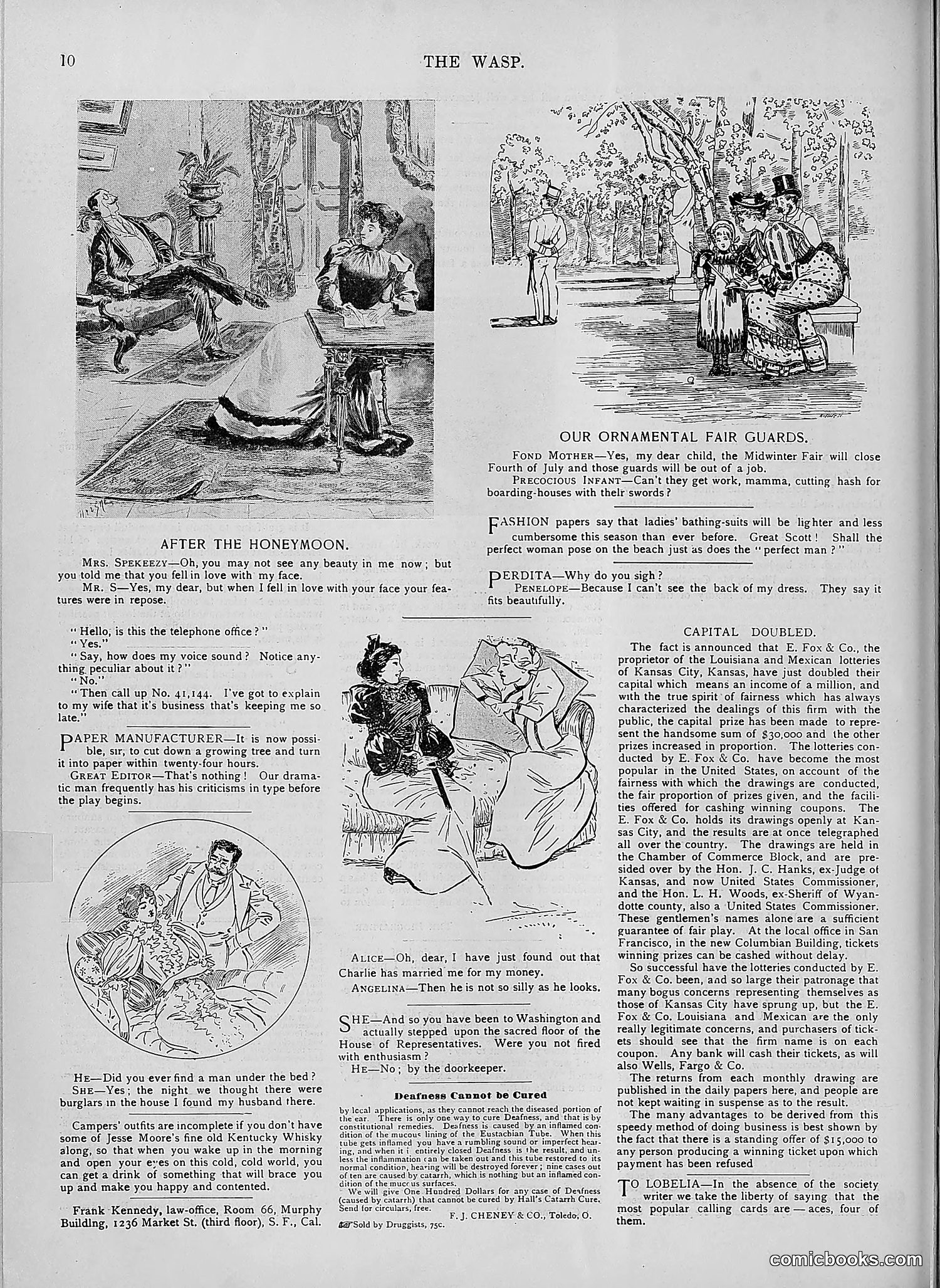 The Wasp — 1894 — page 489 of 552