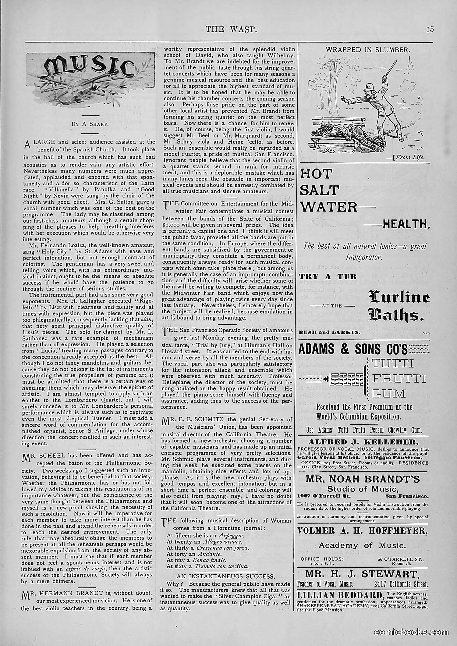 The Wasp — 1894 — page 494 of 552