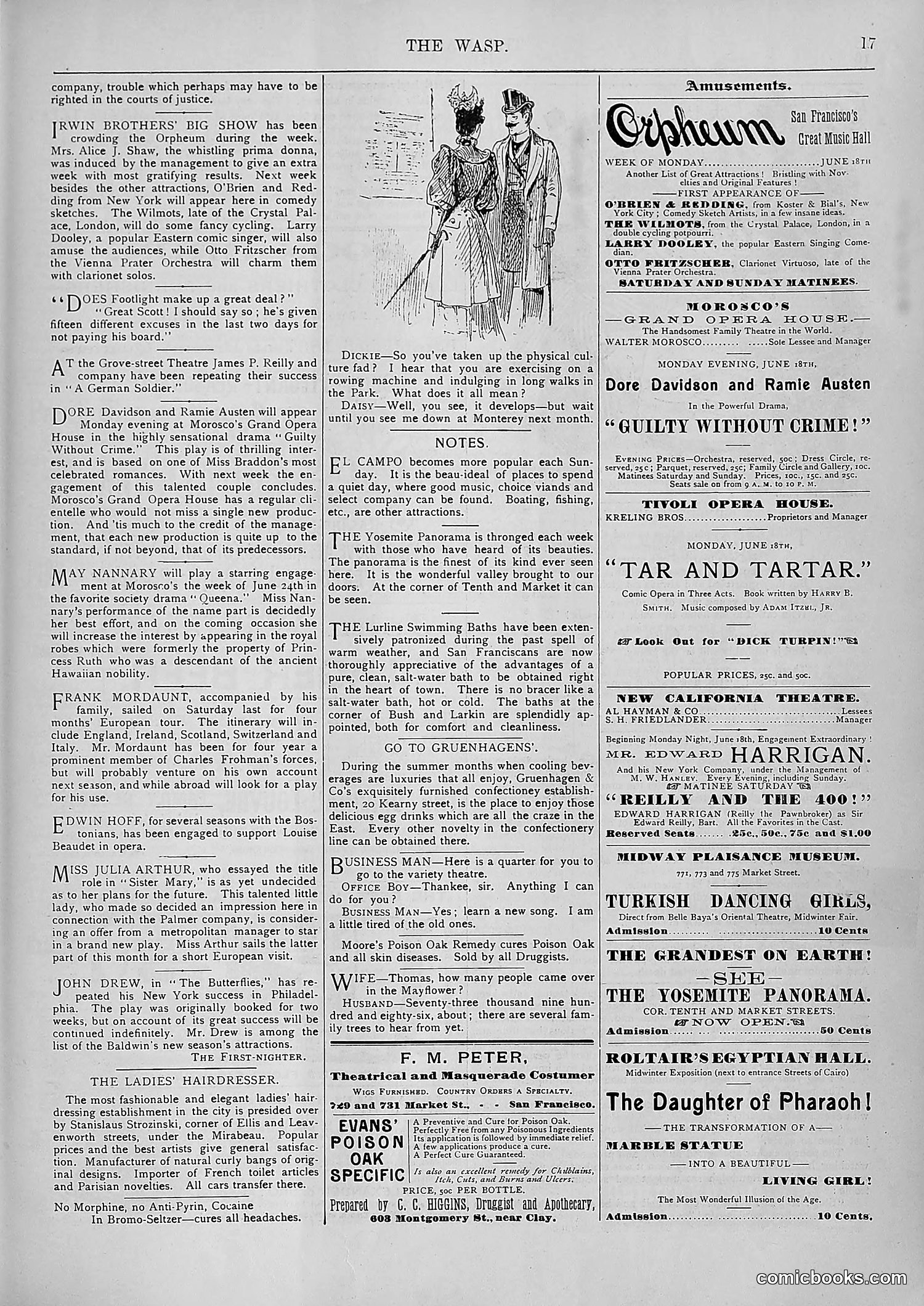 The Wasp — 1894 — page 496 of 552